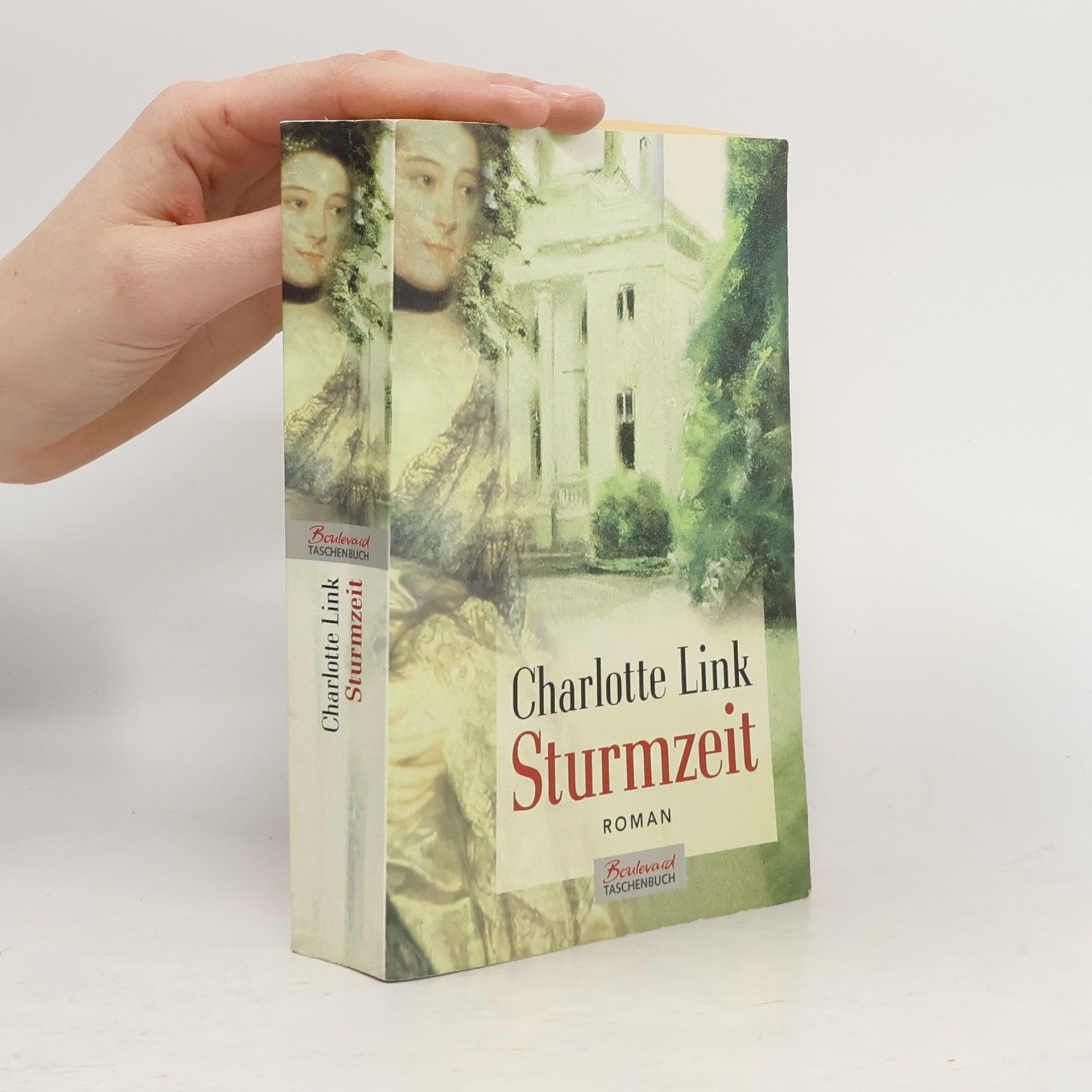 Charlotte Link Sturmzeit