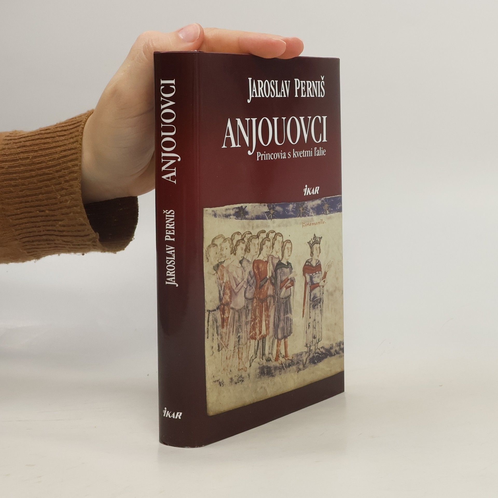 Anjouovci: princovia s kvetmi ľalie