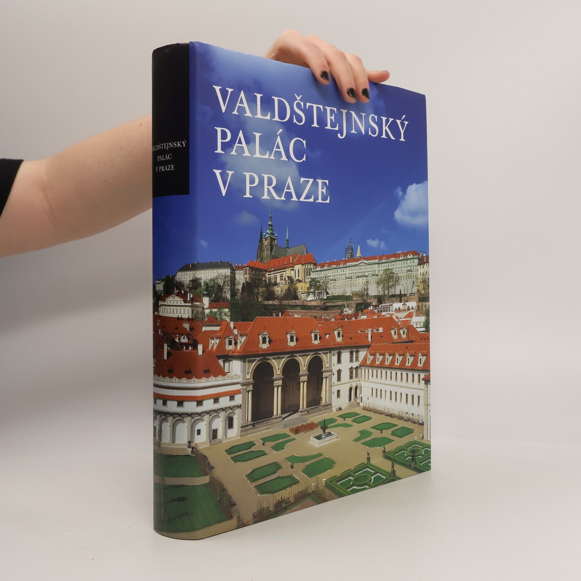 Mojmír Horyna Valdštejnský palác v Praze