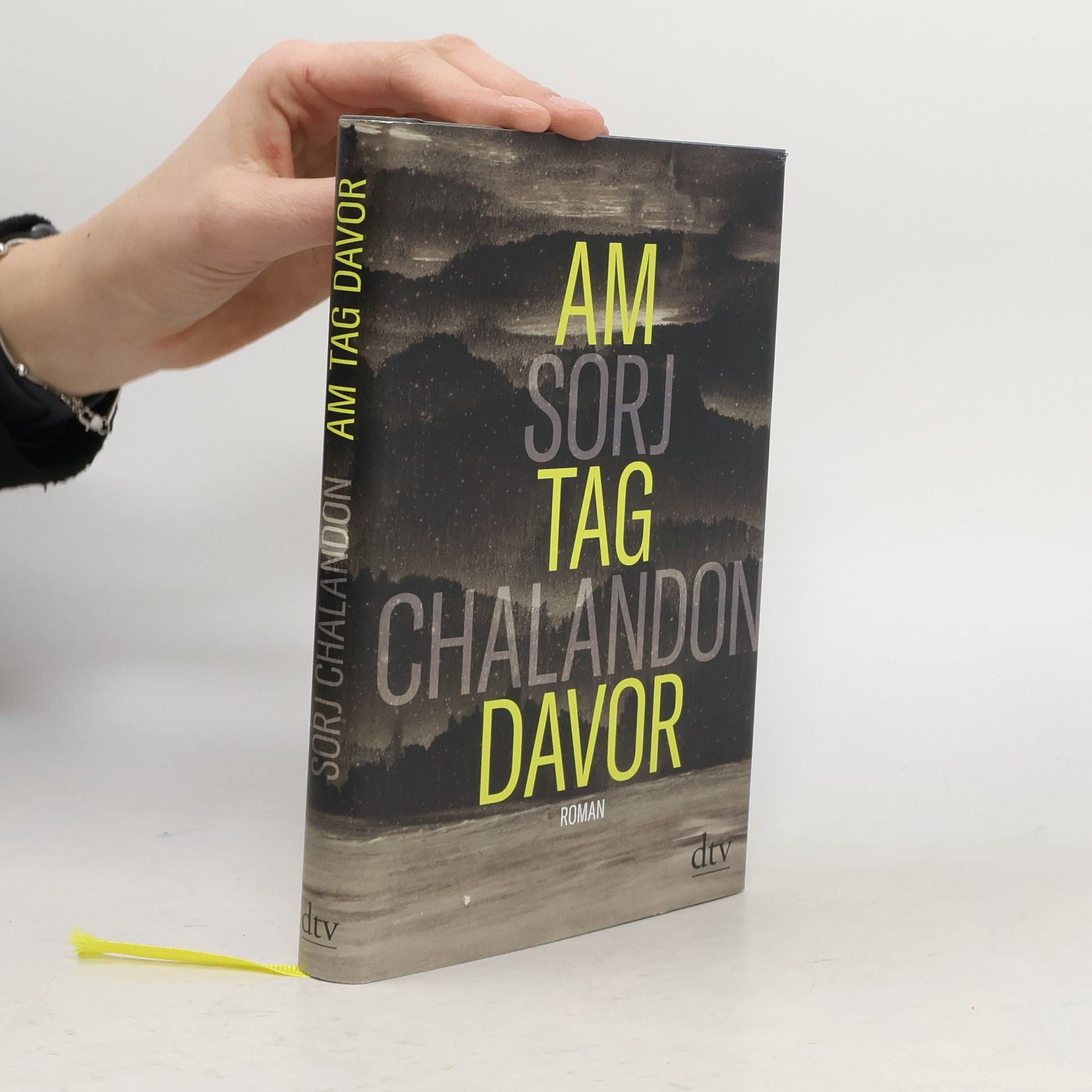 Sorj Chalandon Am Tag davor