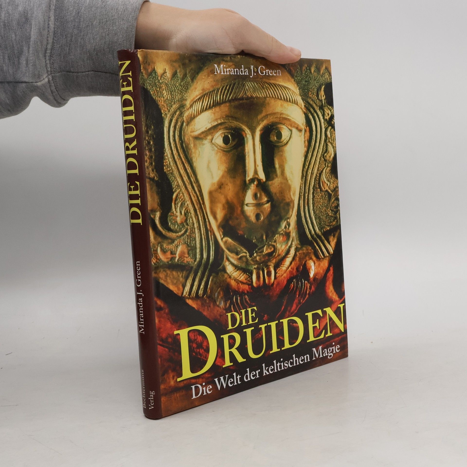 Miranda Aldhouse-Green Die Druiden