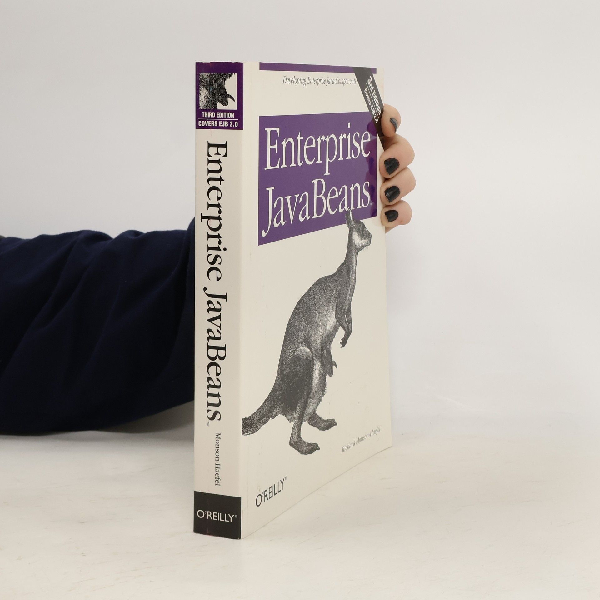 Richard Monson Haefel Enterprise JavaBeans