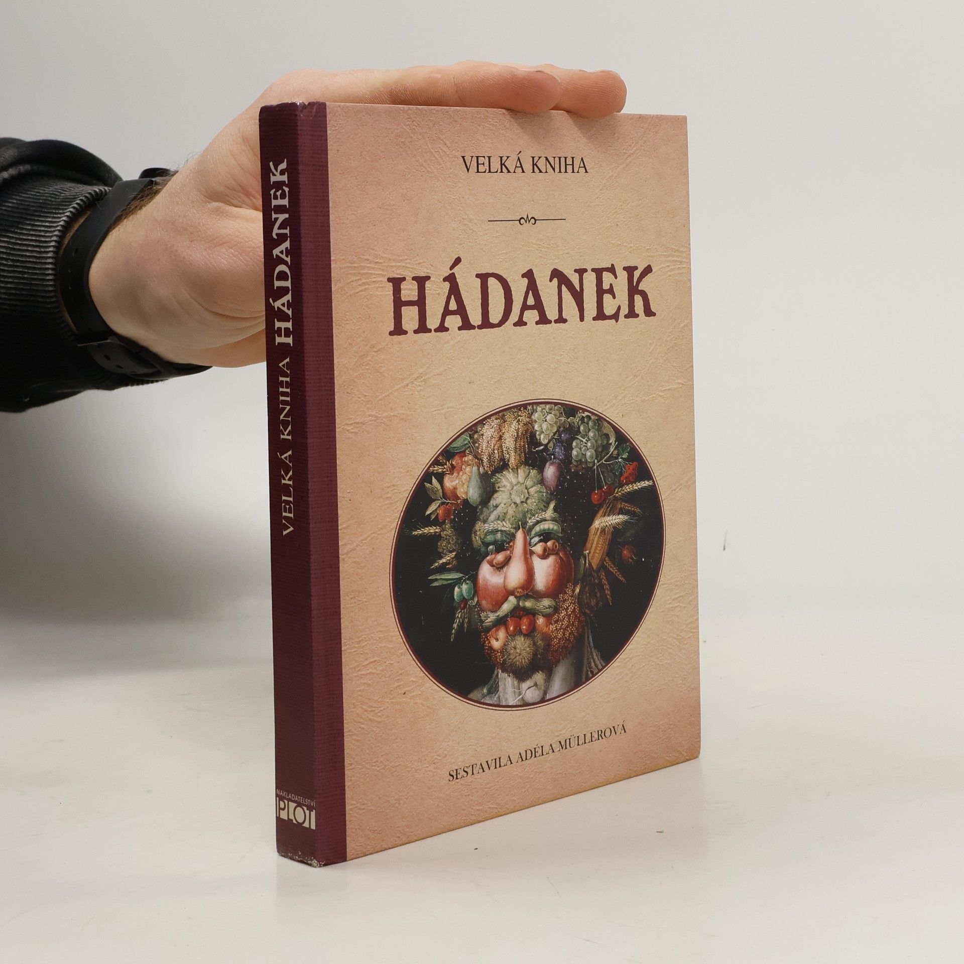 Adéla Müllerová Velká kniha hádanek