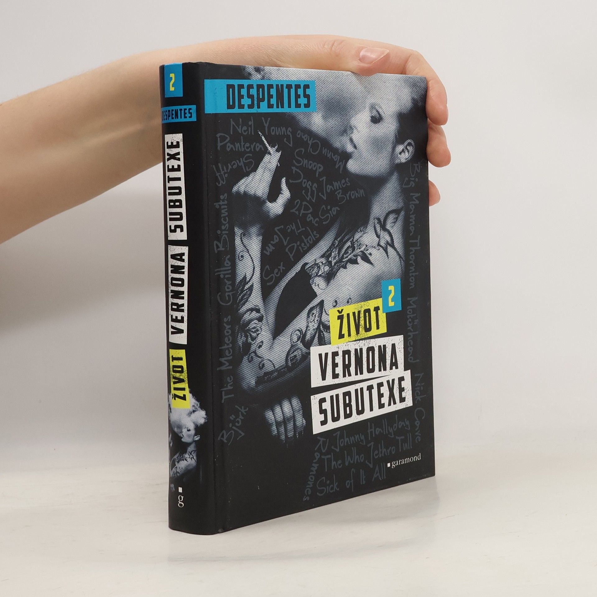 Virginie Despentes Život Vernona Subutexe. Díl 2