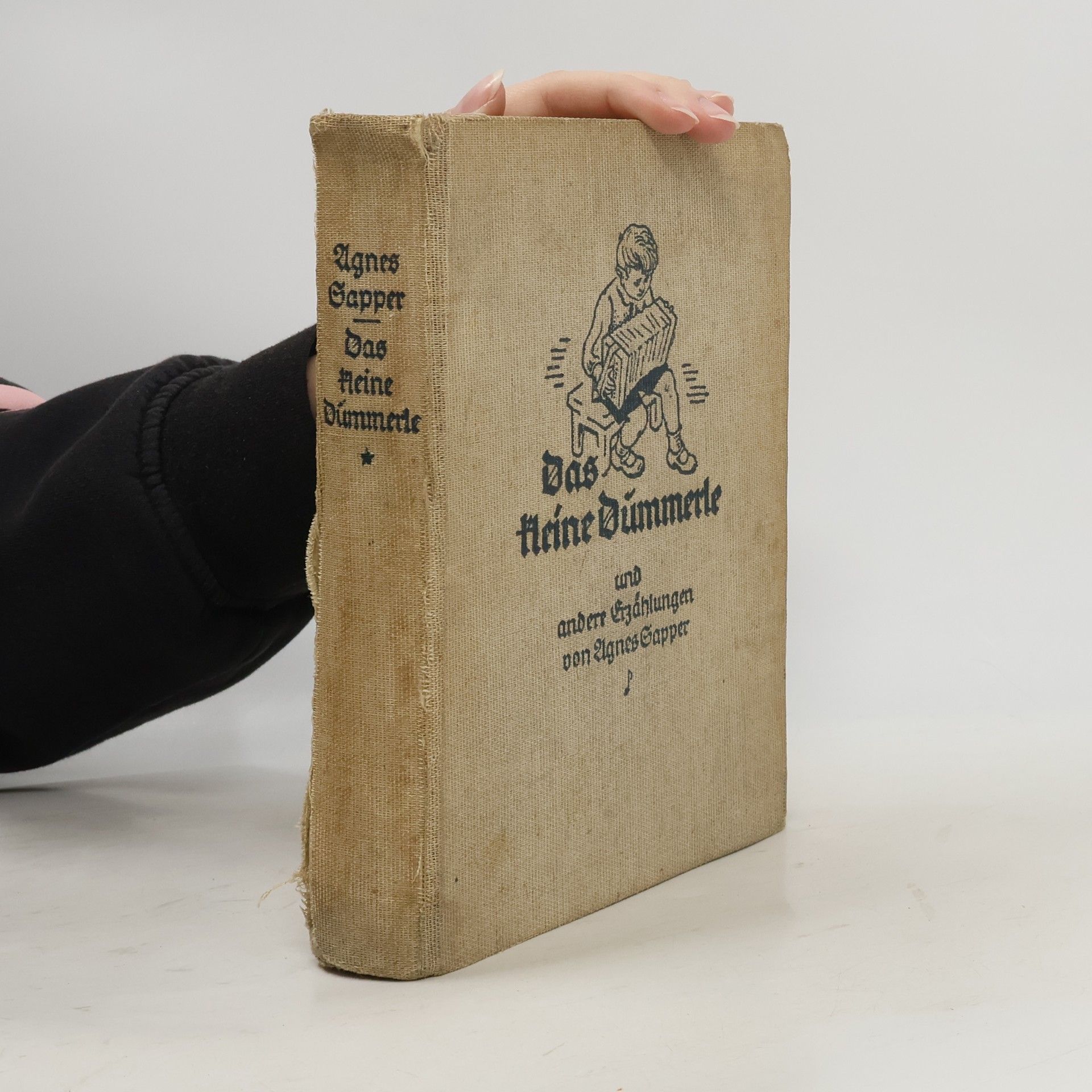 Agnes Sapper Das kleine Dummerle und andere Erzählungen zum Vorlesen im Familienkreise