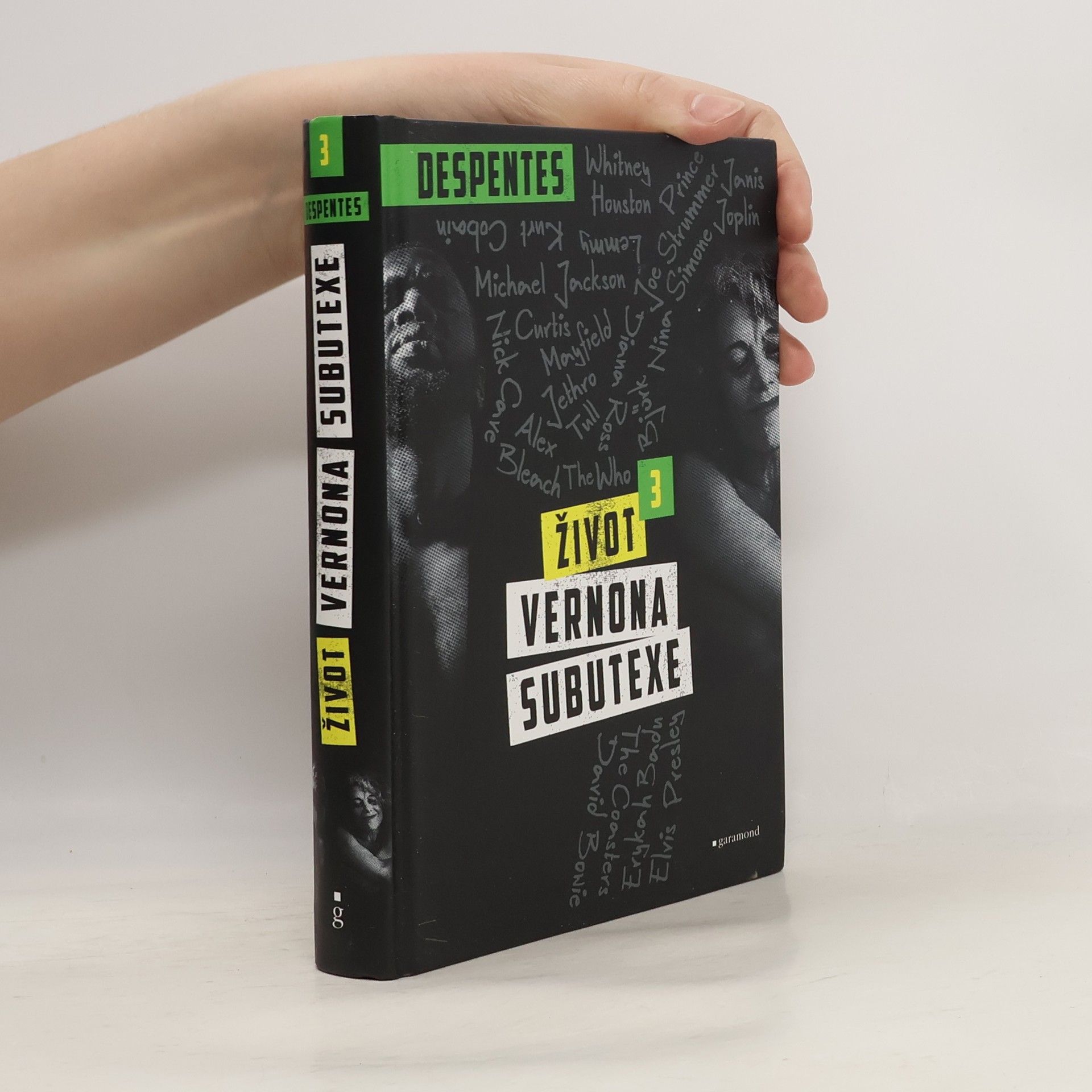 Virginie Despentes Život Vernona Subutexe. 3