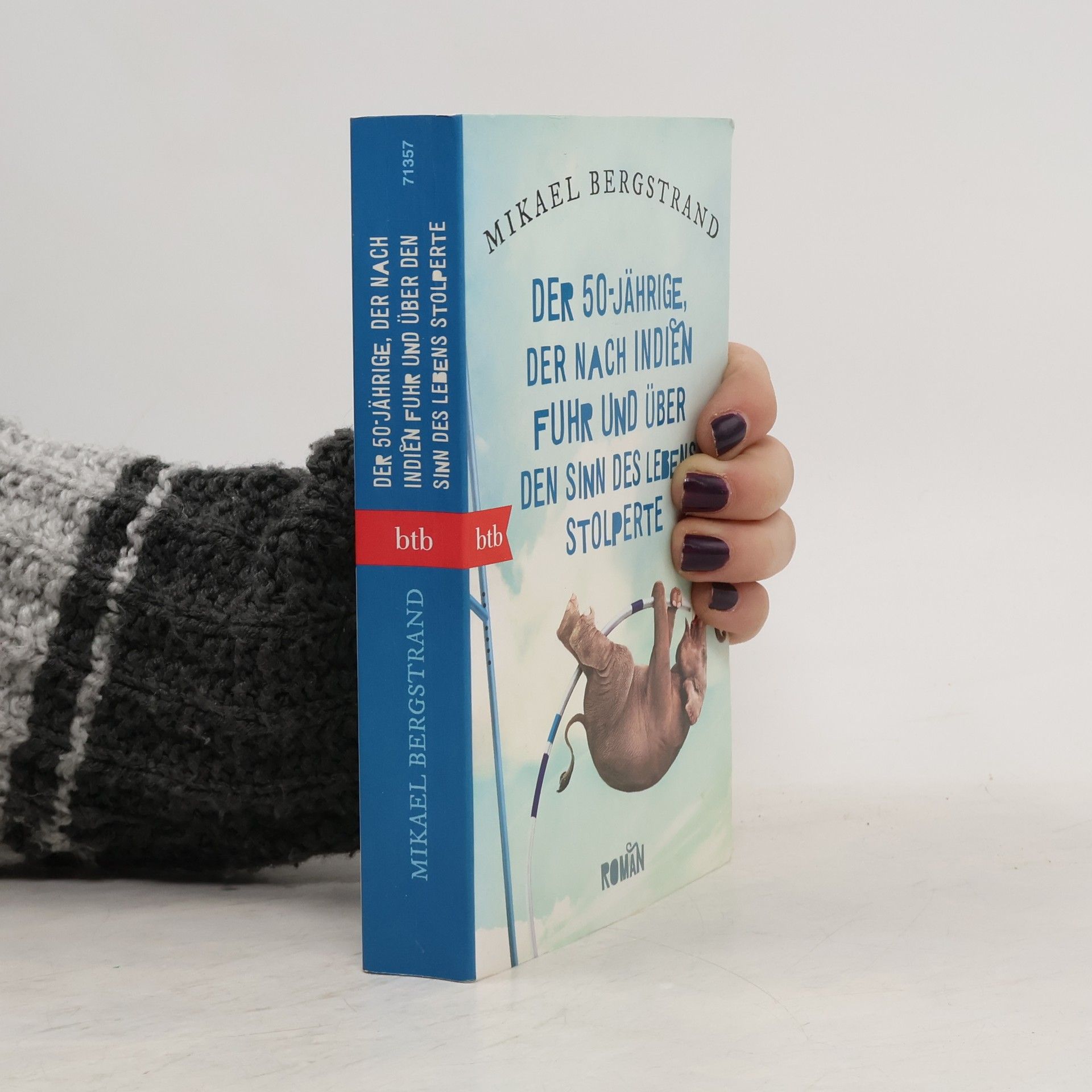 Mikael Bergstrand Der 50-jährige, der nach Indien fuhr und über den Sinn des Lebens stolperte