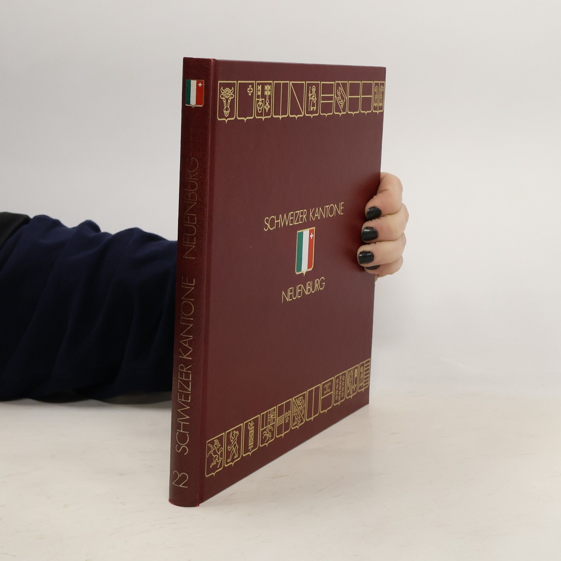 Kolektív autorov Schweizer Kantone 22