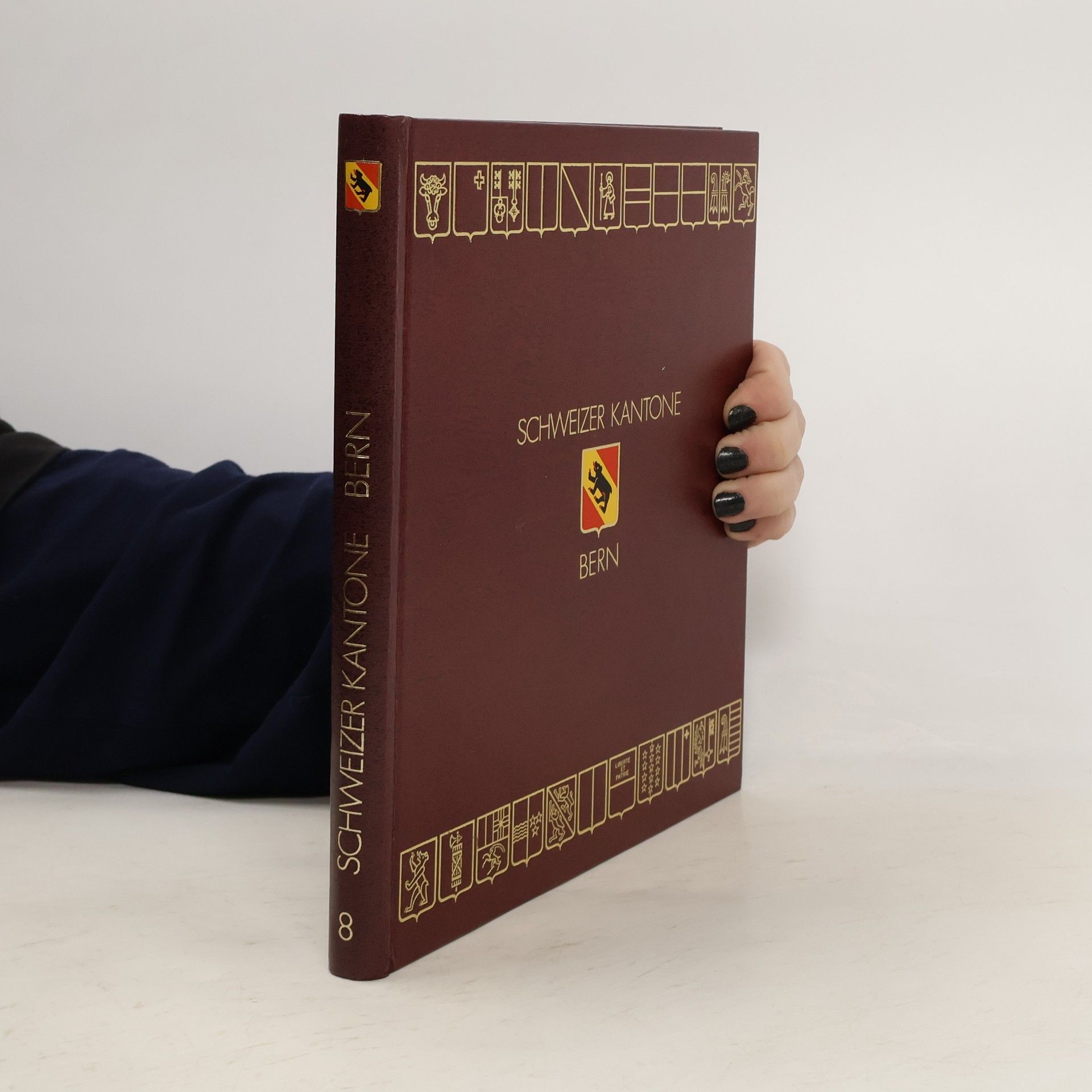 Kolektív autorov Schweizer Kantone 8