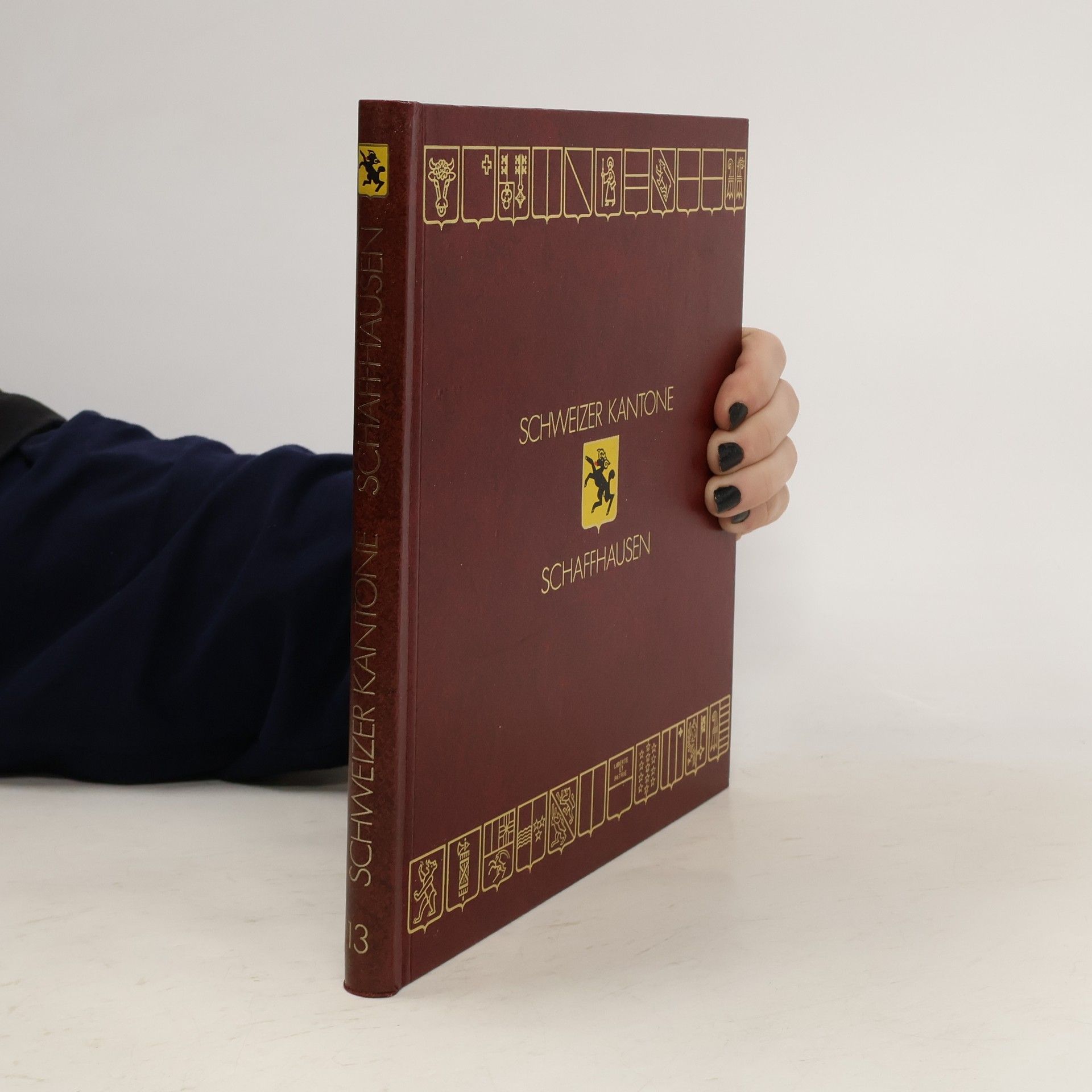 Kolektív autorov Schweizer Kantone 13