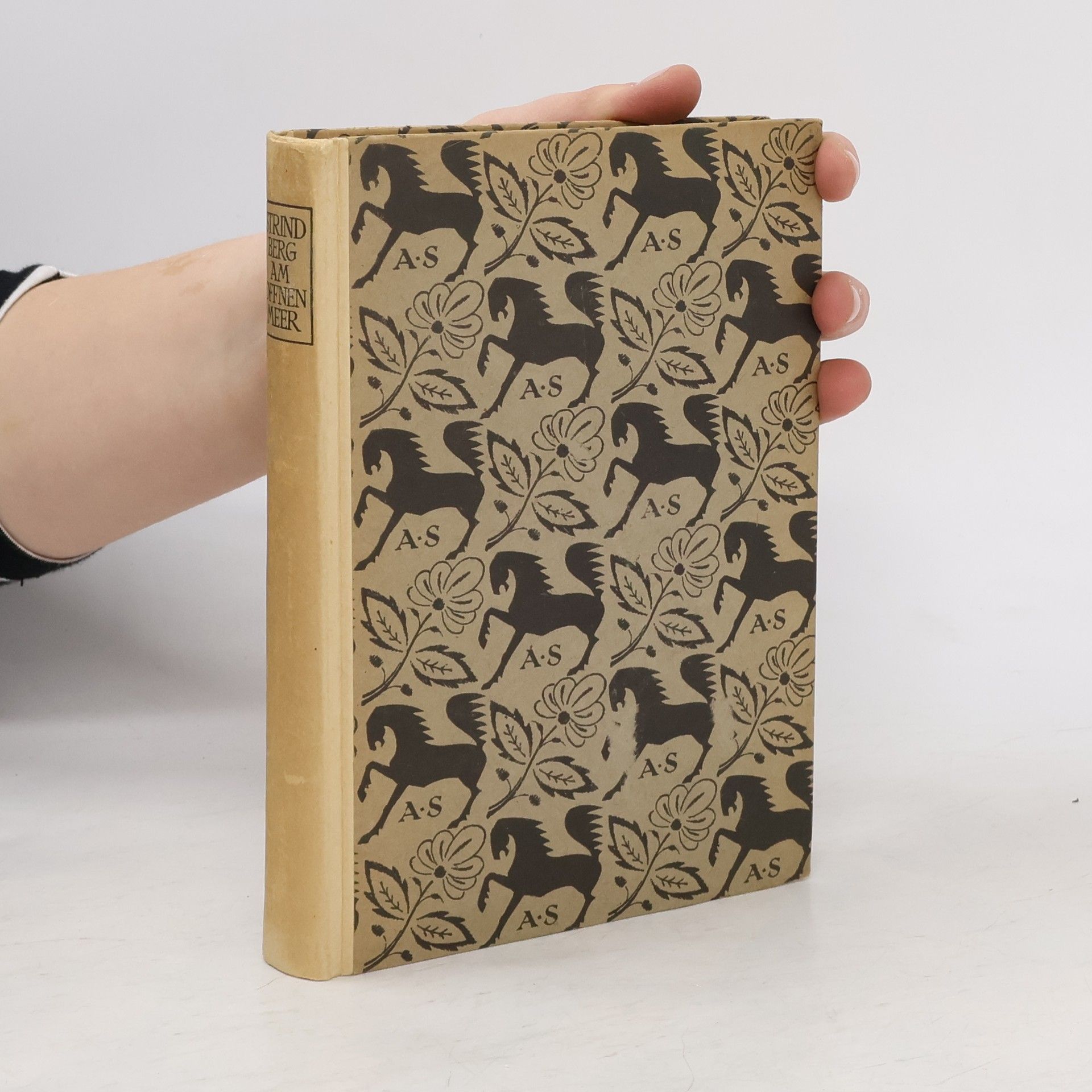 August Strindberg Am offenen Meer