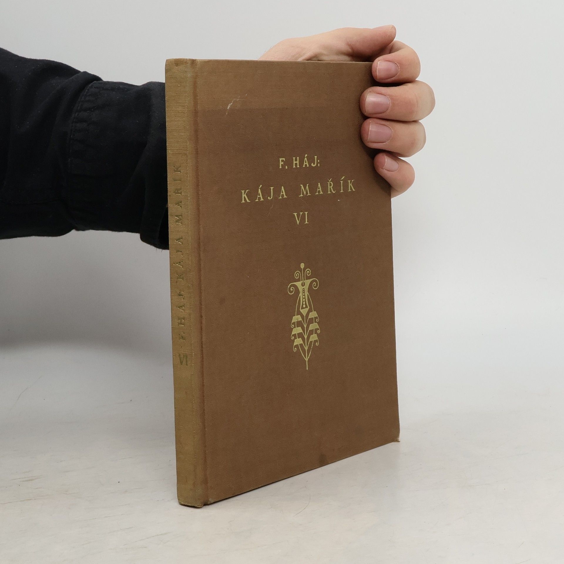 Kája Mařík. Díl VI.