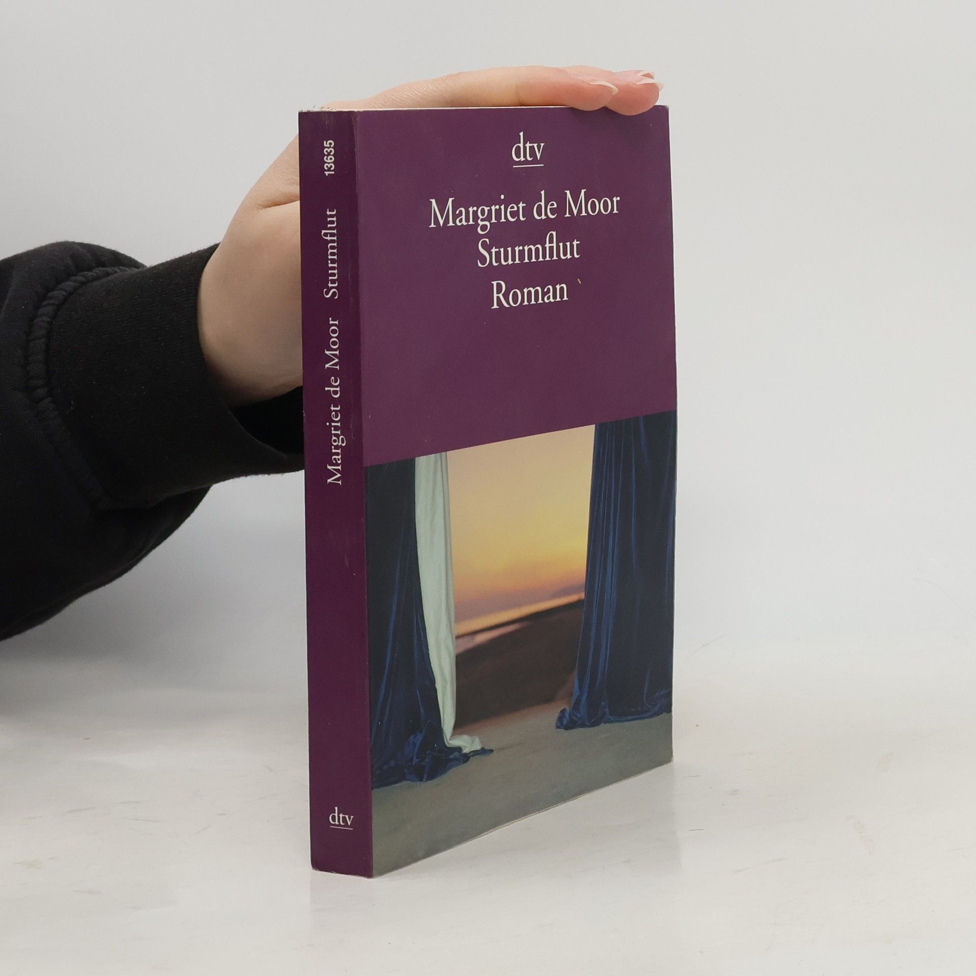 Margriet de Moor Sturmflut