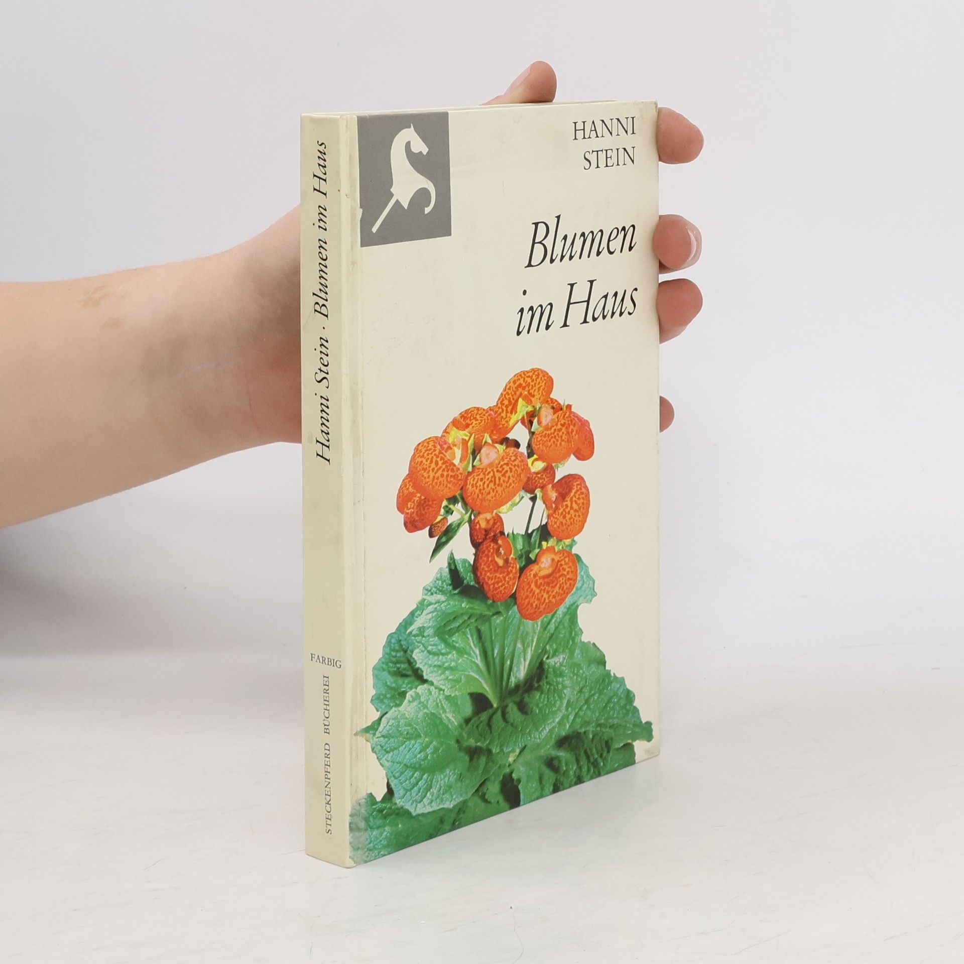 Hanni Stein Blumen im Haus