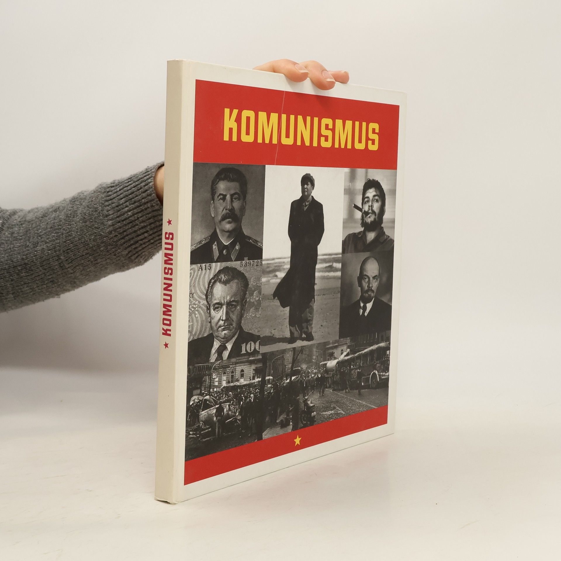 Marcello Flores Komunismus