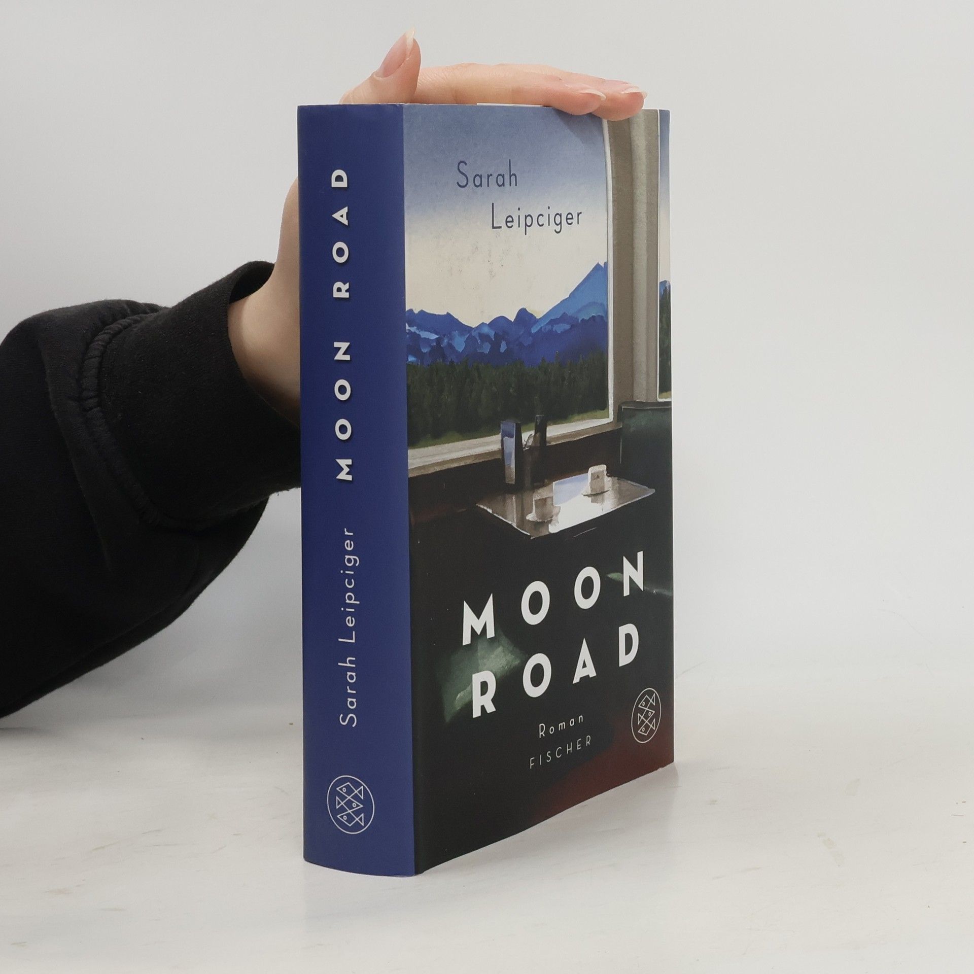 Sarah Leipciger Moon Road