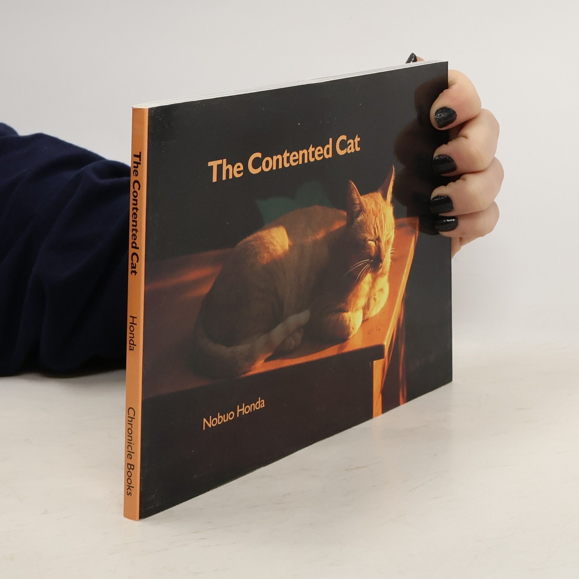 Nobuo Honda The Contented Cat