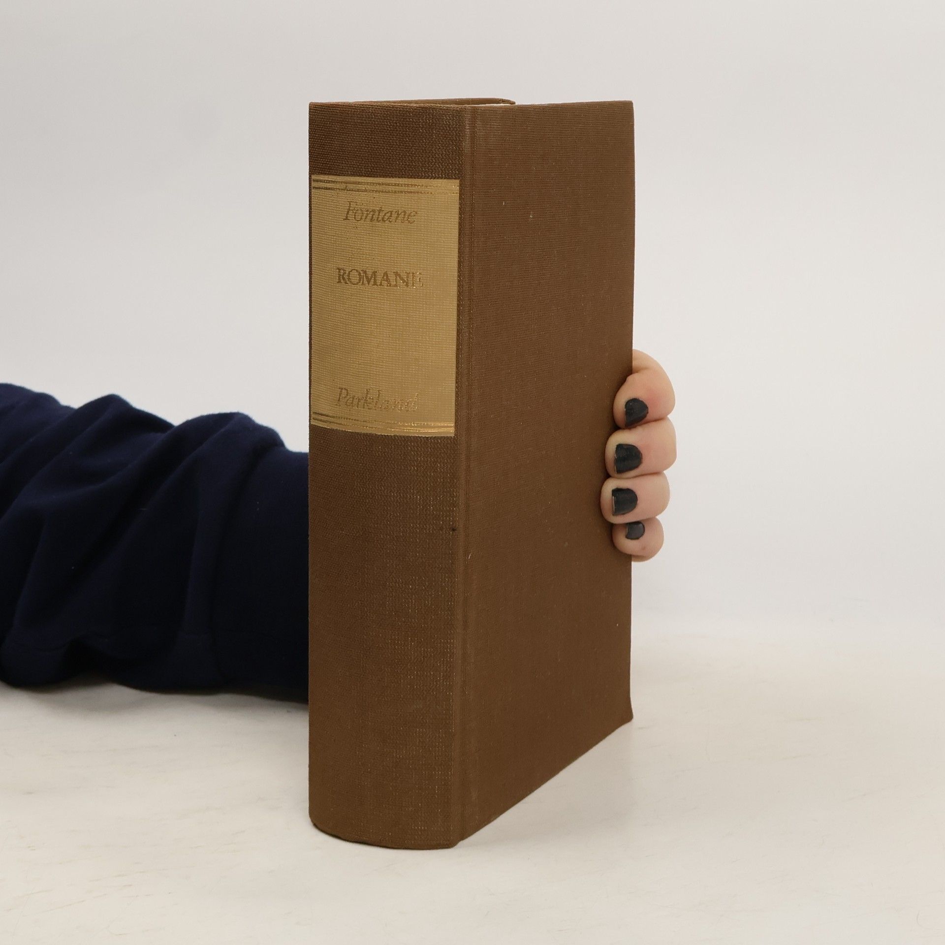 Theodor Fontane Romane