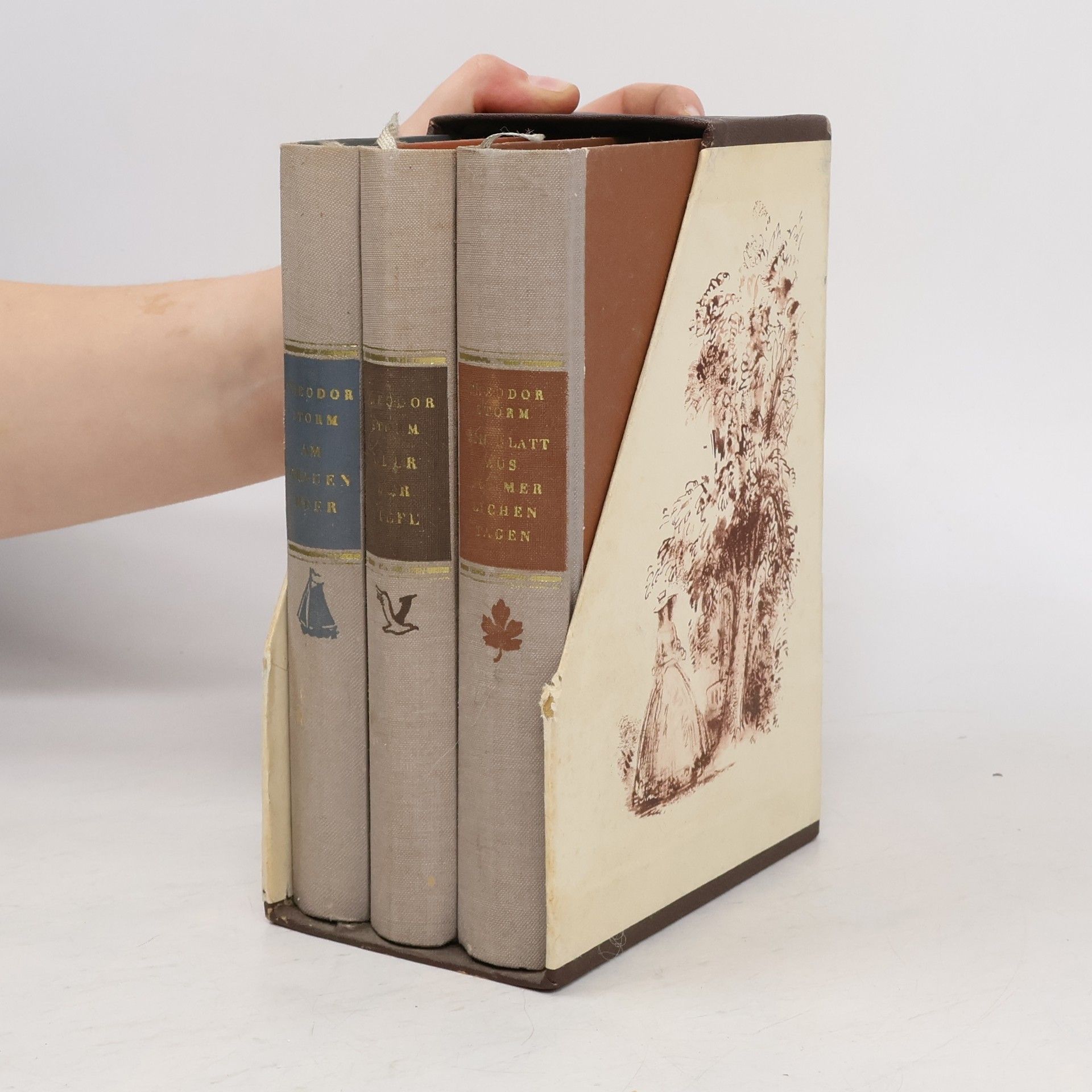 Theodor Storm Ein Blatt aus sommerlichen Tagen. Über der Tiefe. Am grauen Meer