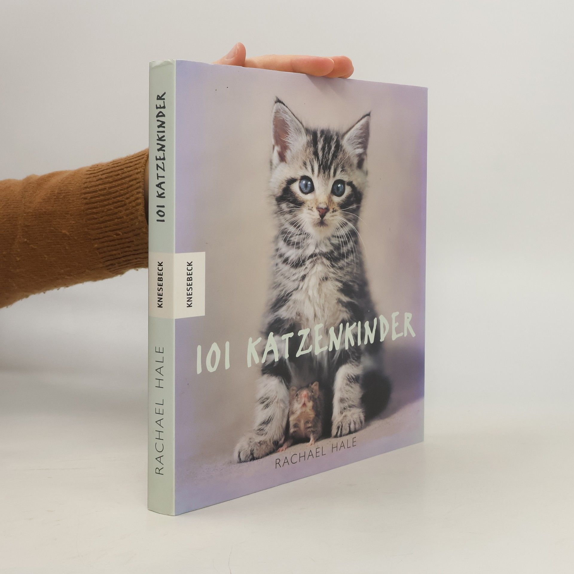 Rachael McKenna 101 Katzenkinder