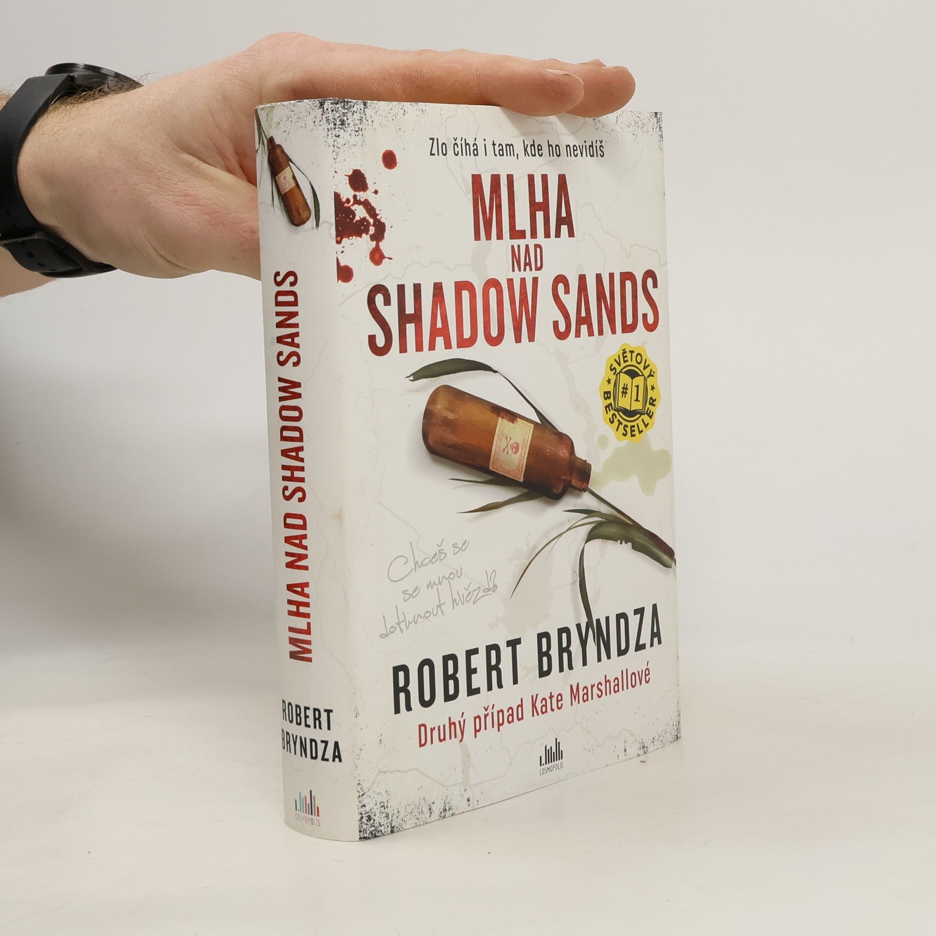 Robert Bryndza Mlha nad Shadow Sands