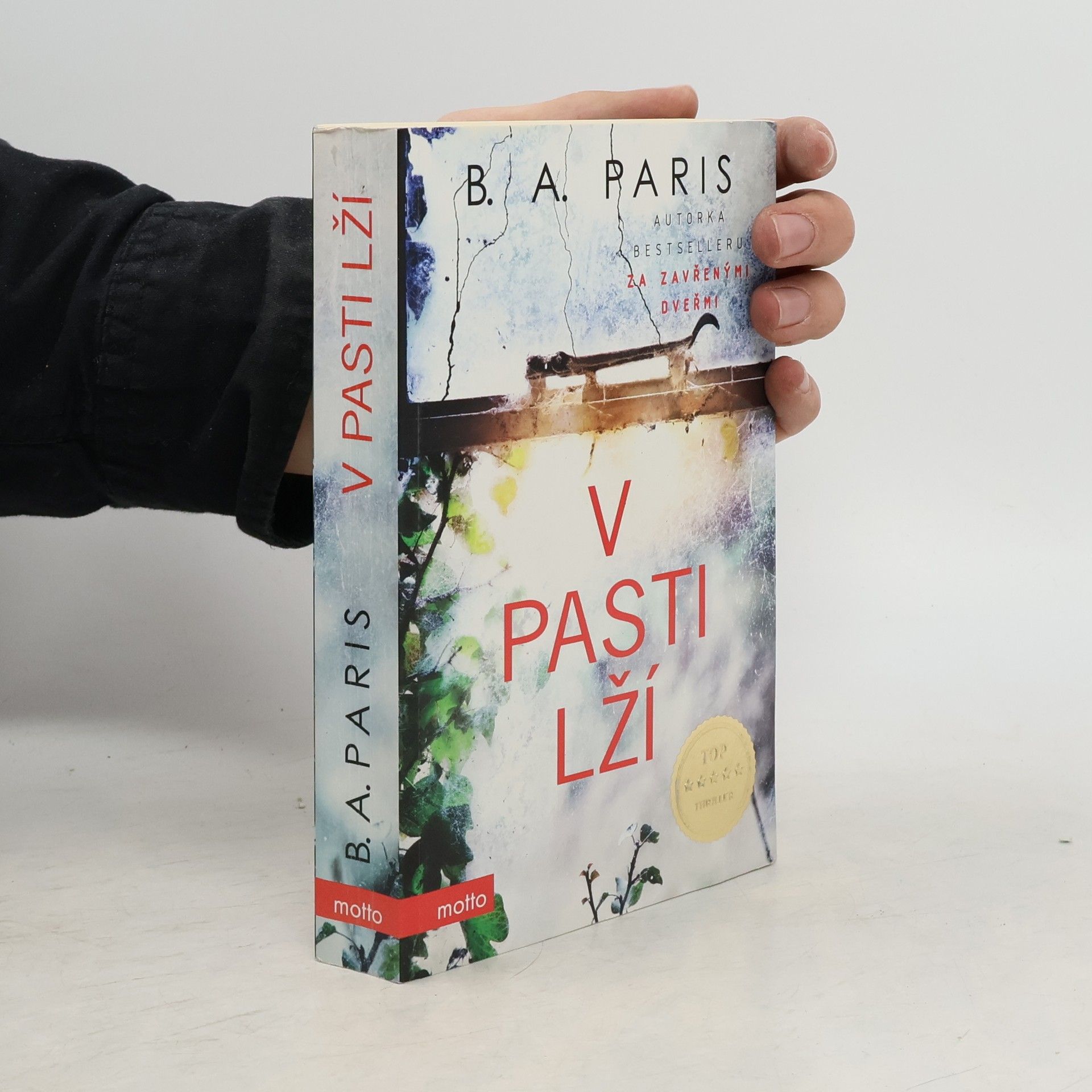 B. A. Paris V pasti lží