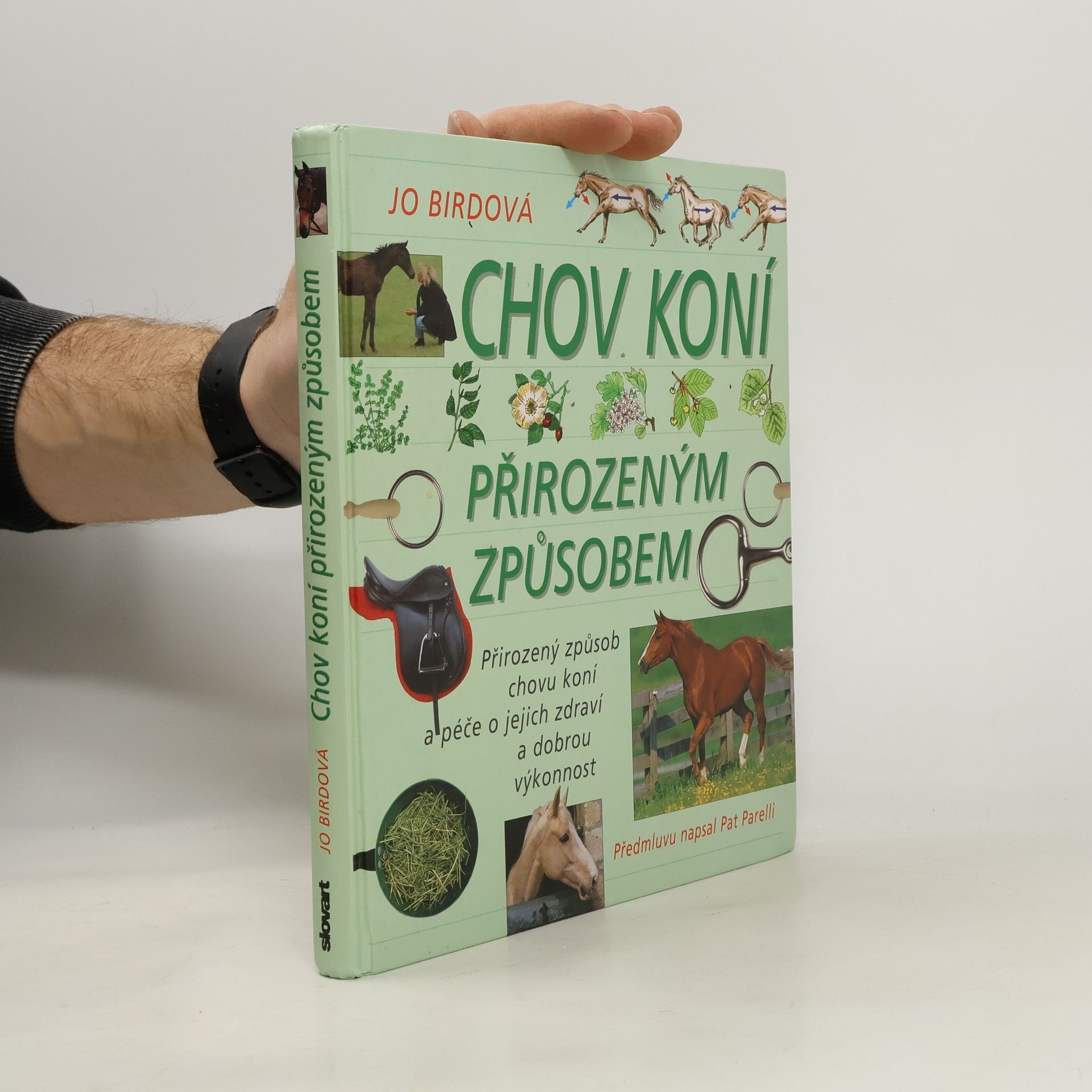 Jo Bird Chov koní přirozeným způsobem: přirozený způsob chovu koní a péče o jejich zdraví a dobrou výkonnost