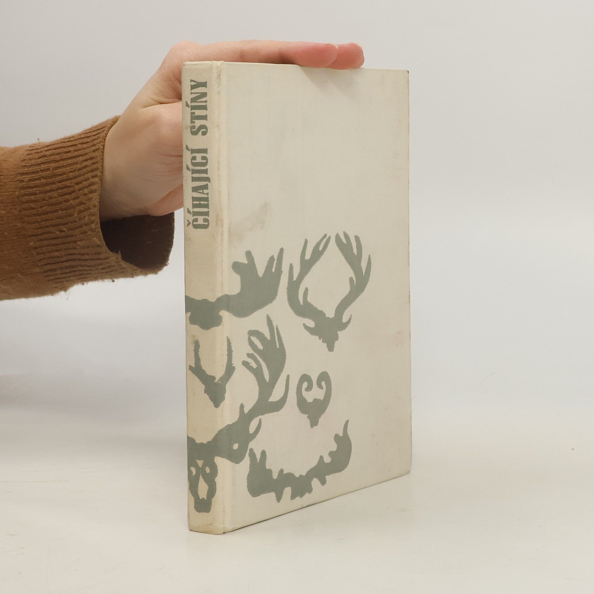 Rudolf Luskač Číhající stíny