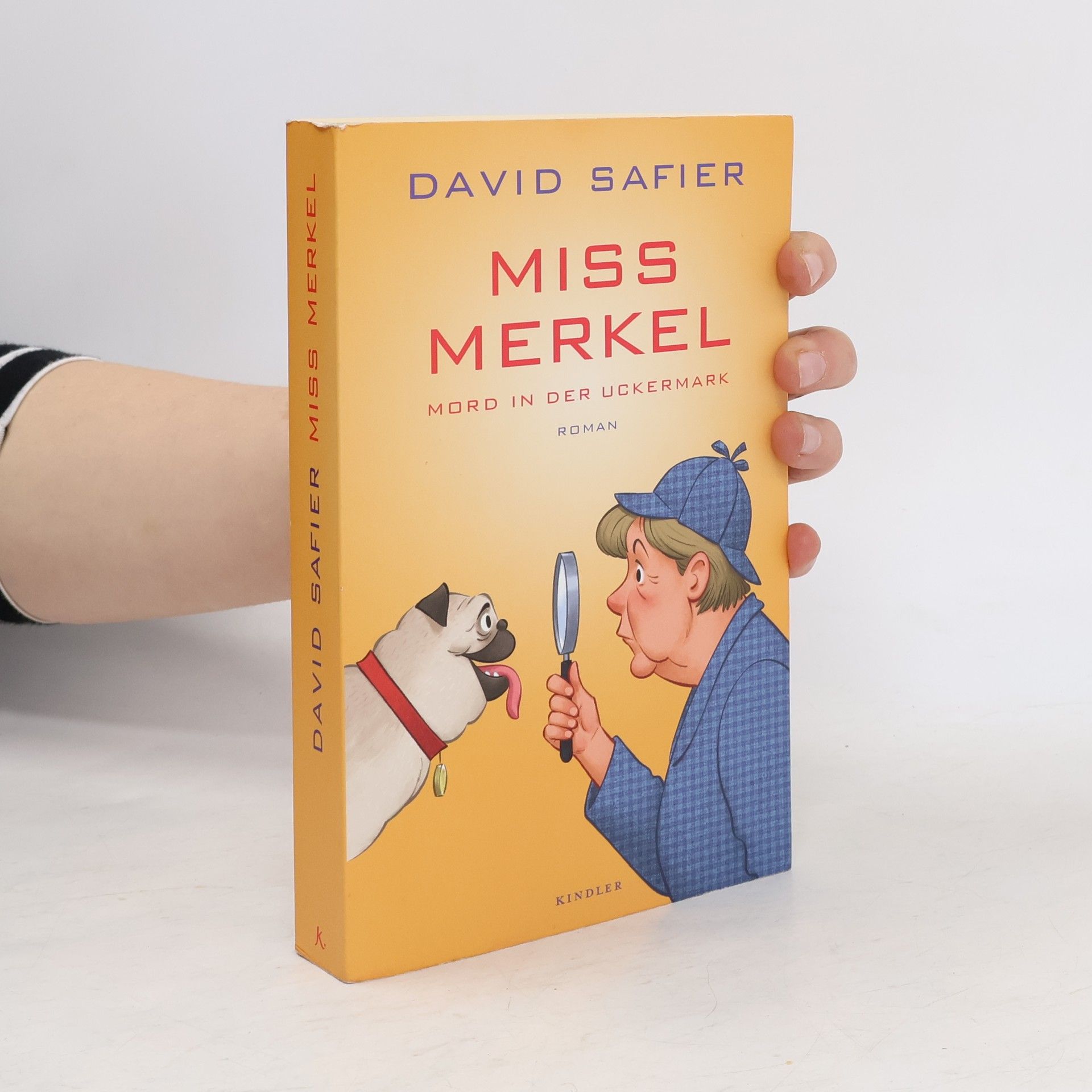 David Safier Miss Merkel