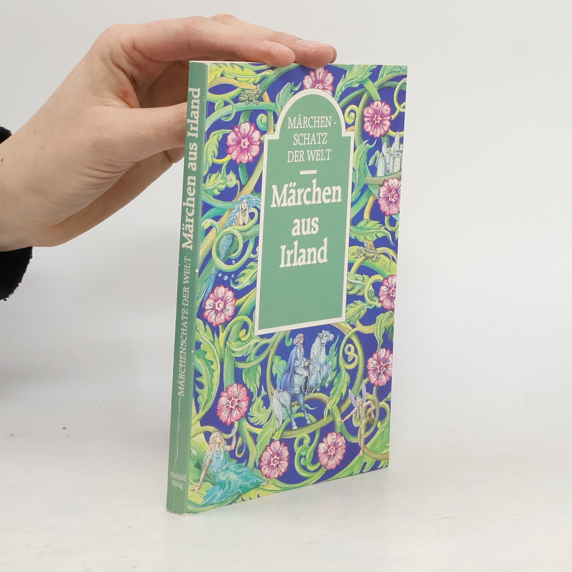 Autorenkollektiv Märchenschatz der Welt. Märchen aus Irland