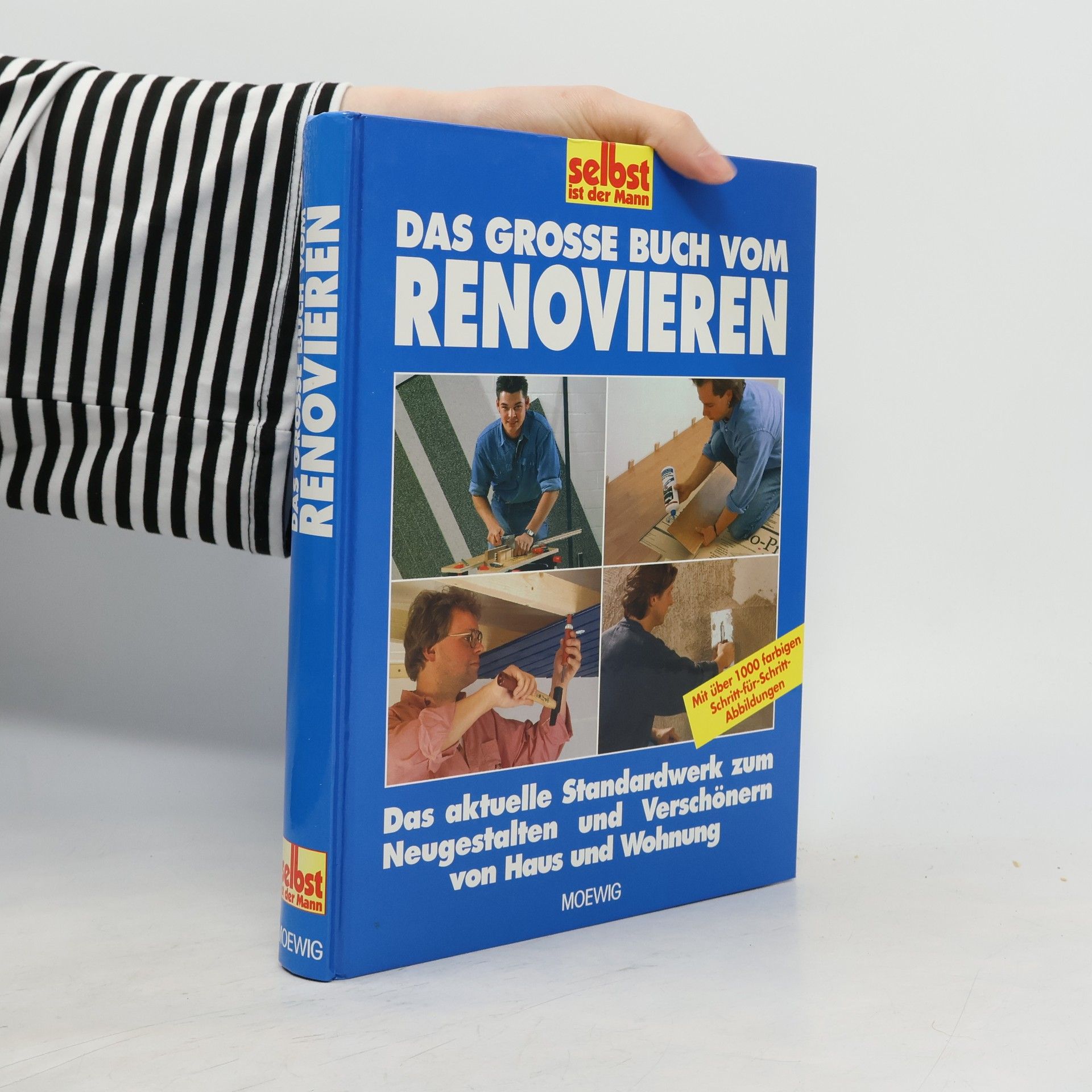 Hans Altmeyer Das grosse Buch vom Renovieren