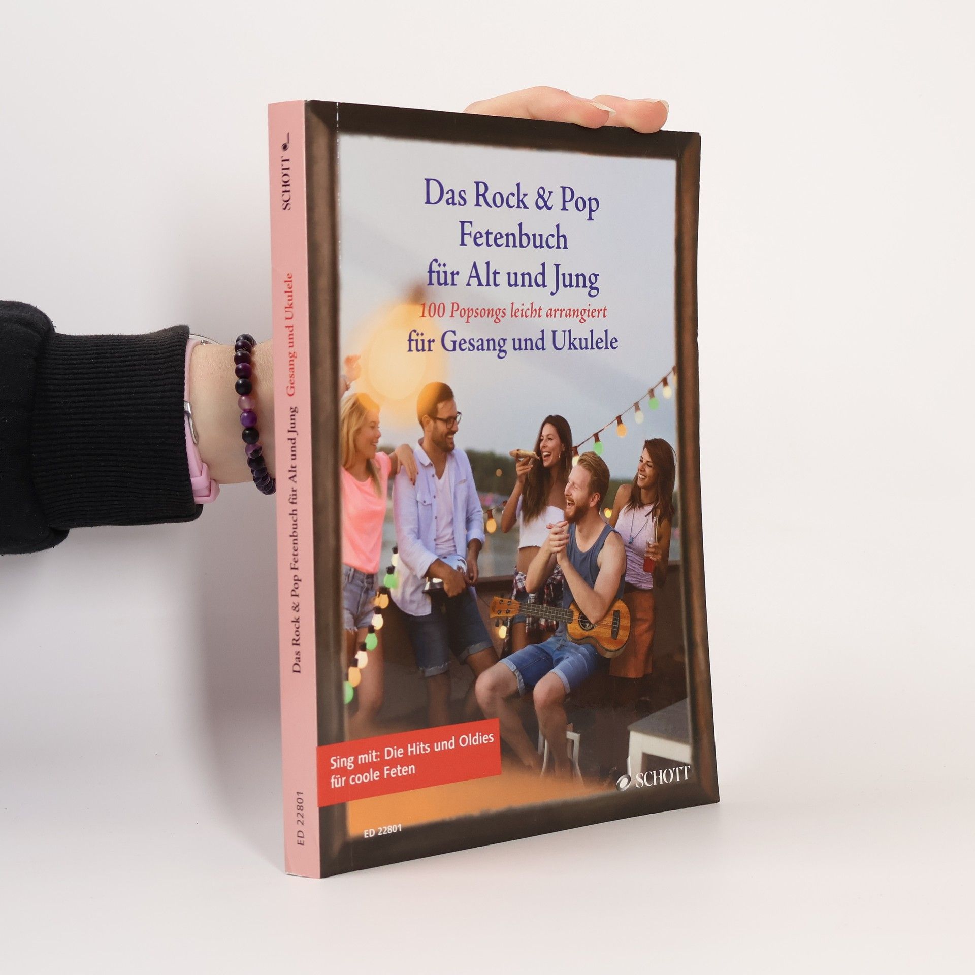 Various authors Liederbücher für Alt und Jung: Das Rock & Pop Fetenbuch für Alt und Jung