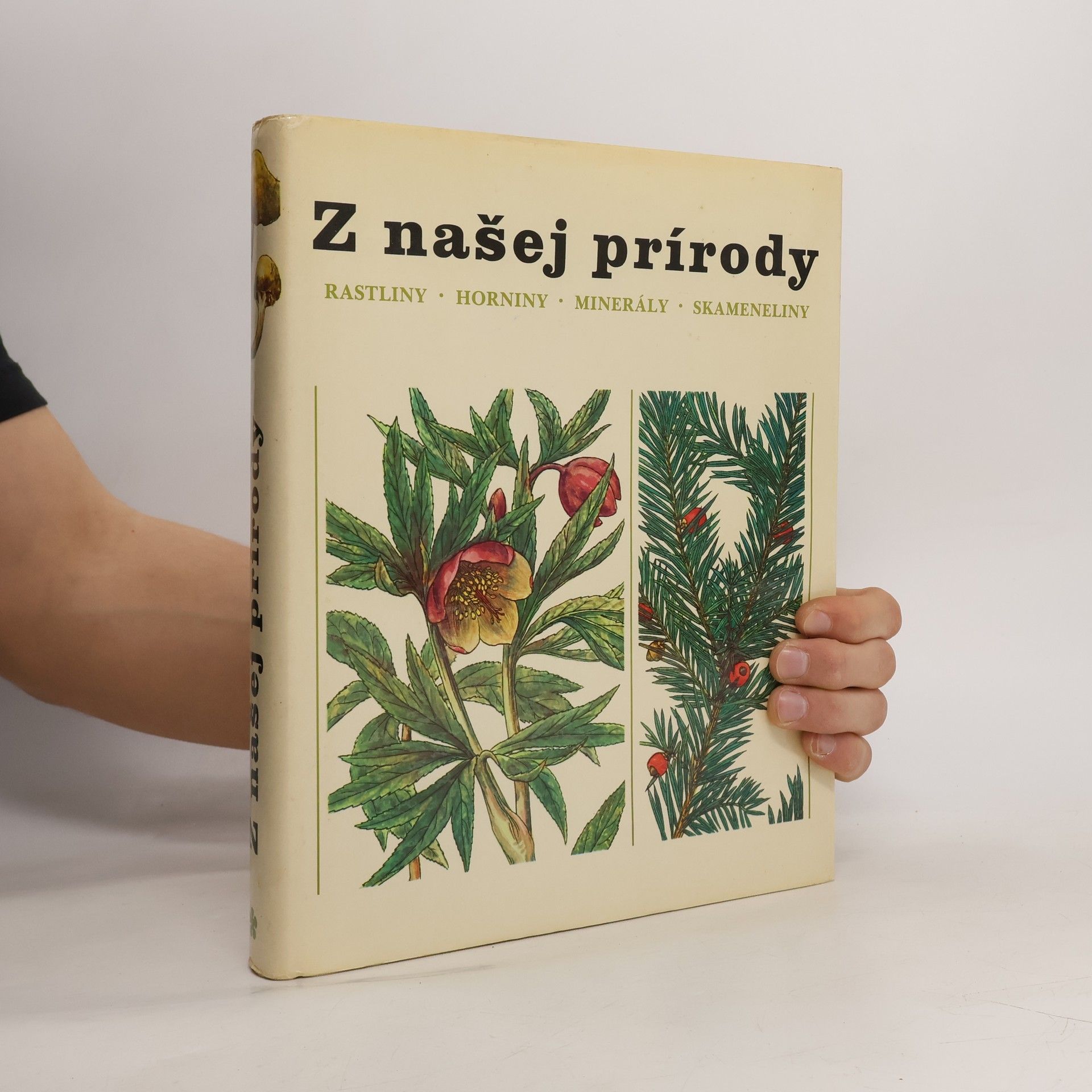 Jindřich Krejča Z našej prírody