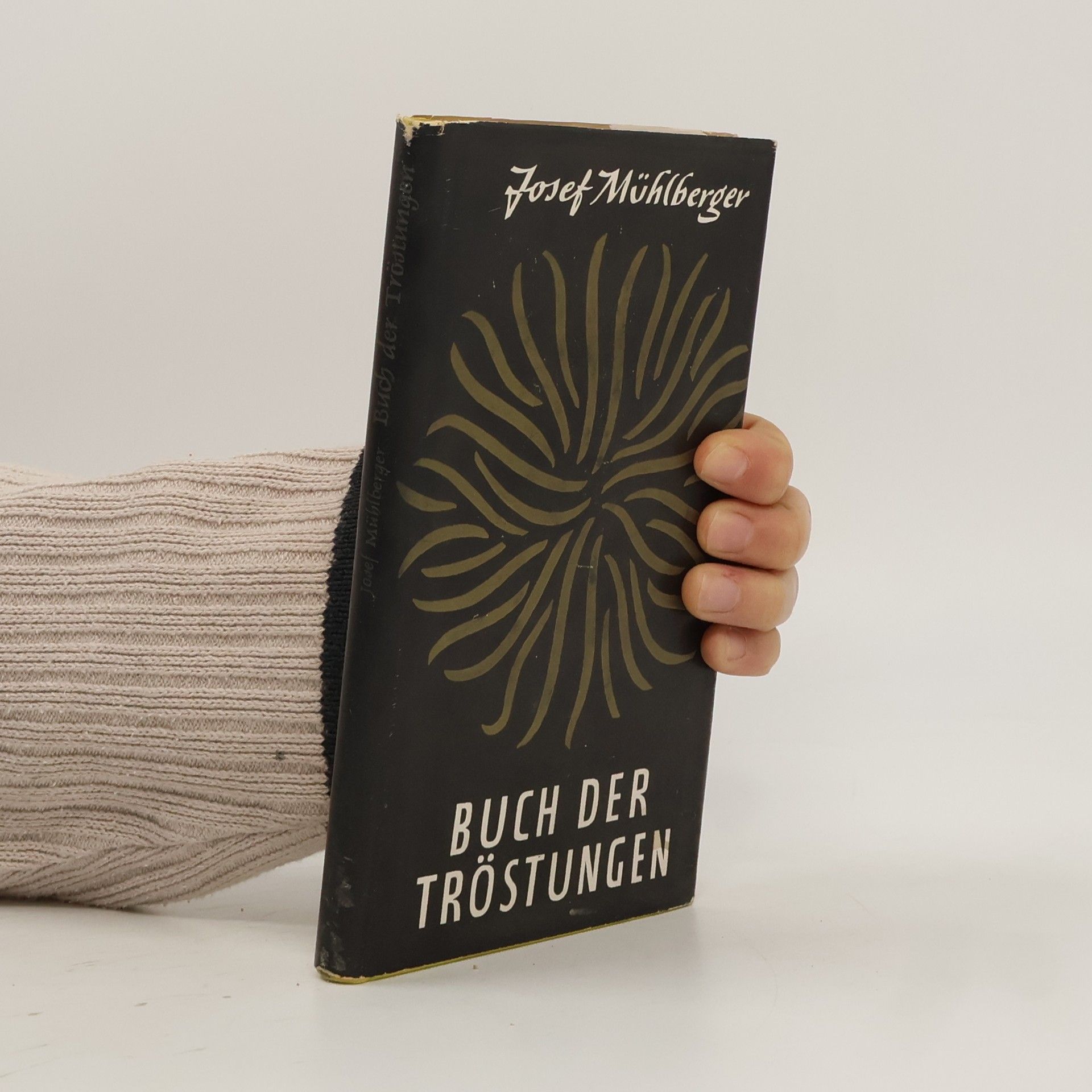 Josef Mühlberger Buch der Tröstungen