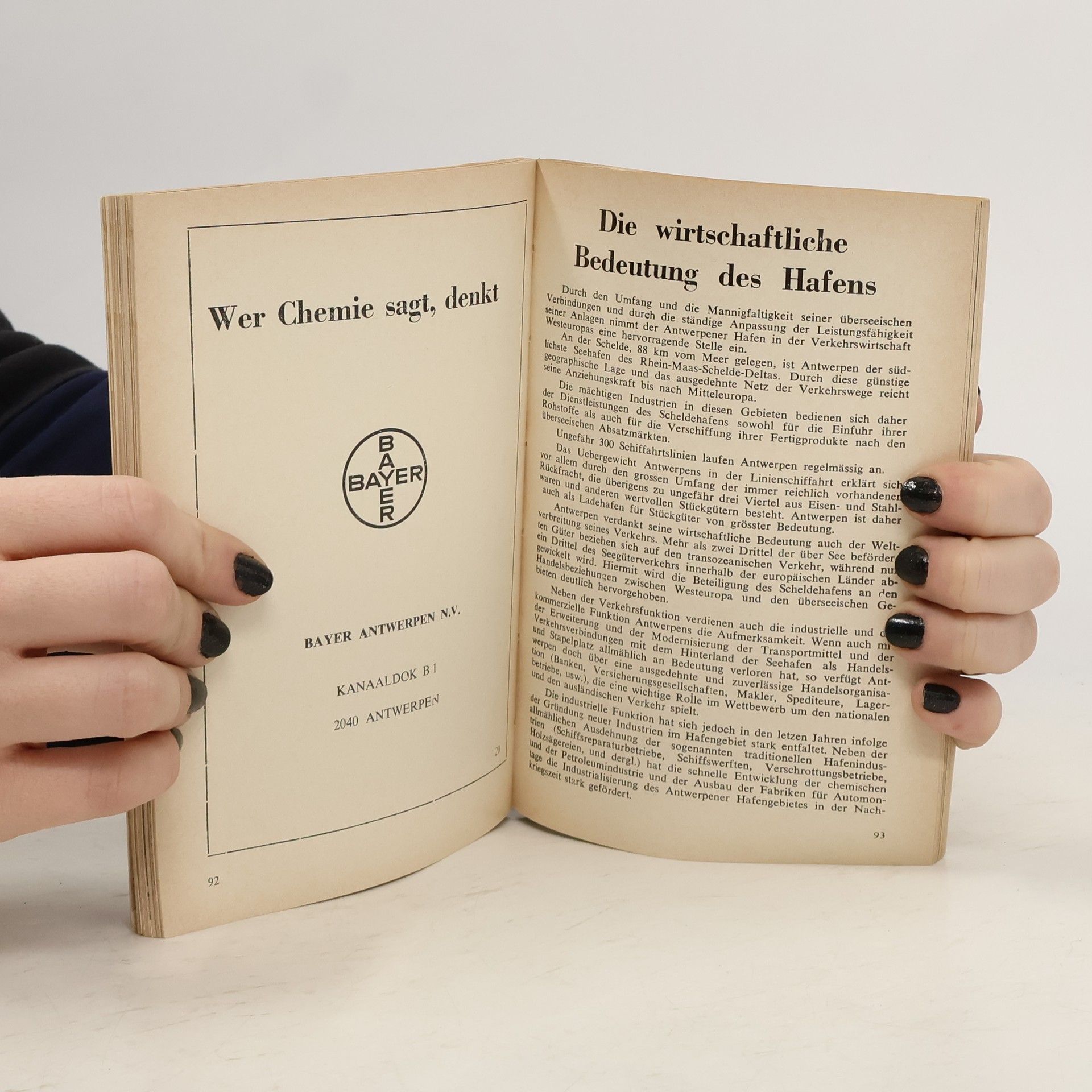 kolektiv Antwerpen - Kurzer Führer