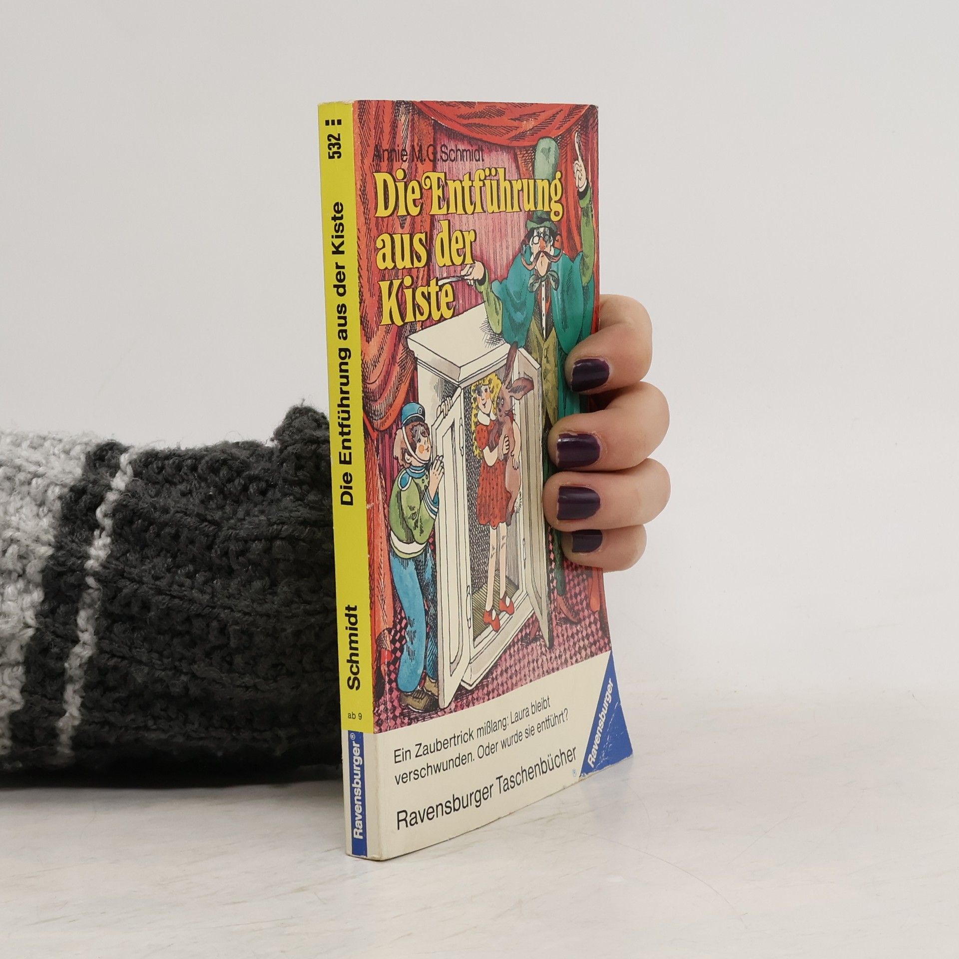 Annie M.G. Schmidt Die Entführung aus der Kiste