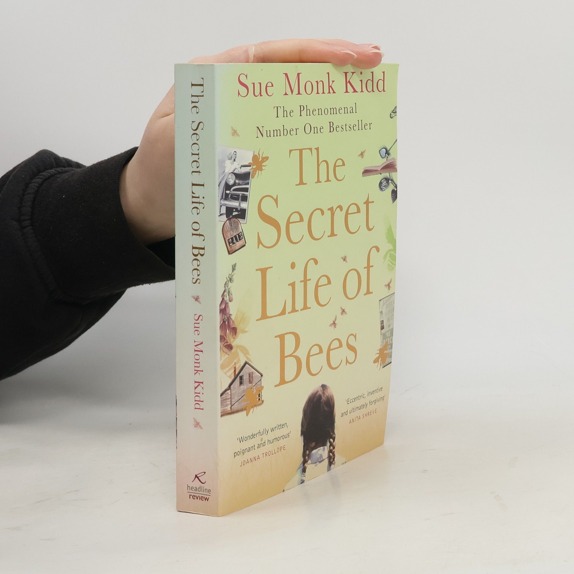 Sue Monk Kidd The secret life of bees