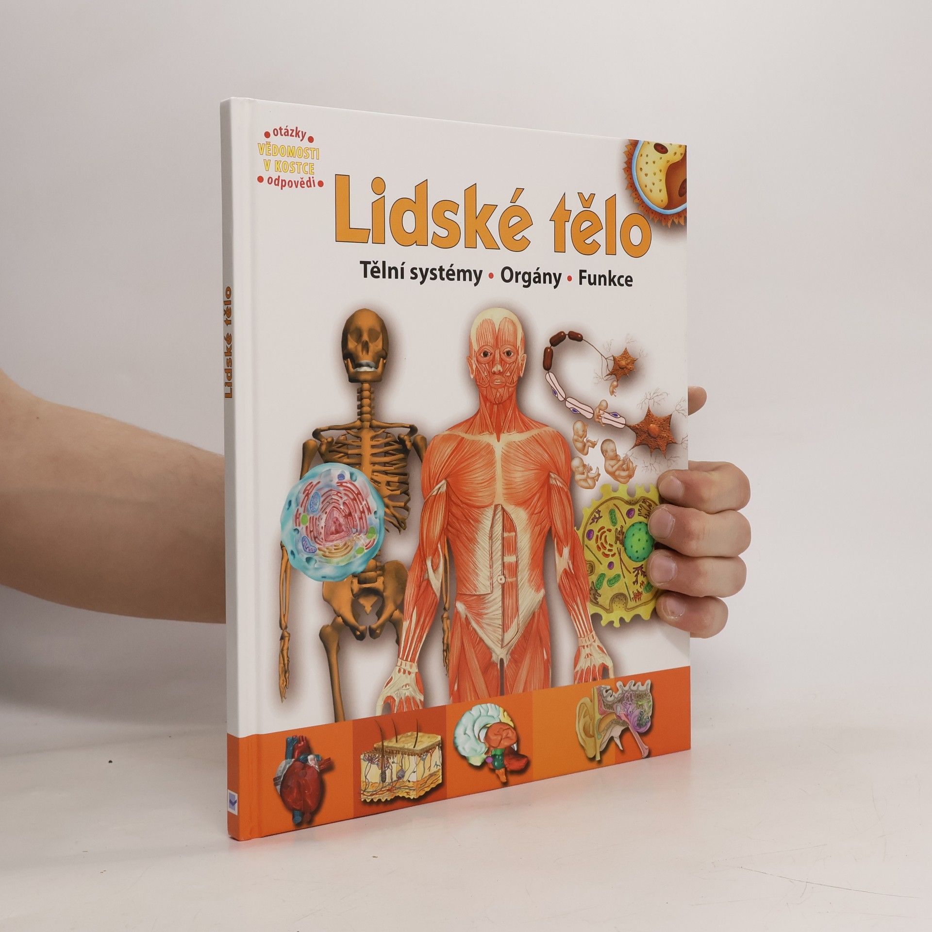 Autorenkollektiv Lidské tělo : orgány, tělní systémy, funkce