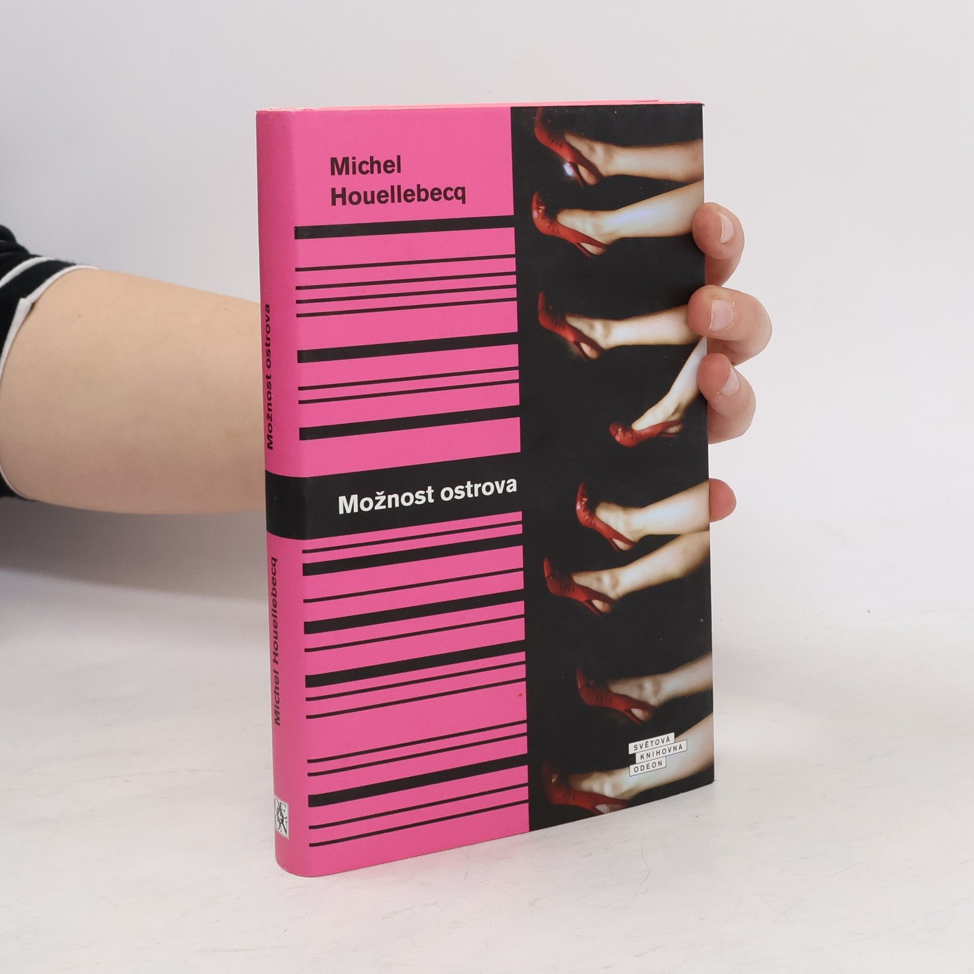 Michel Houellebecq Možnost ostrova