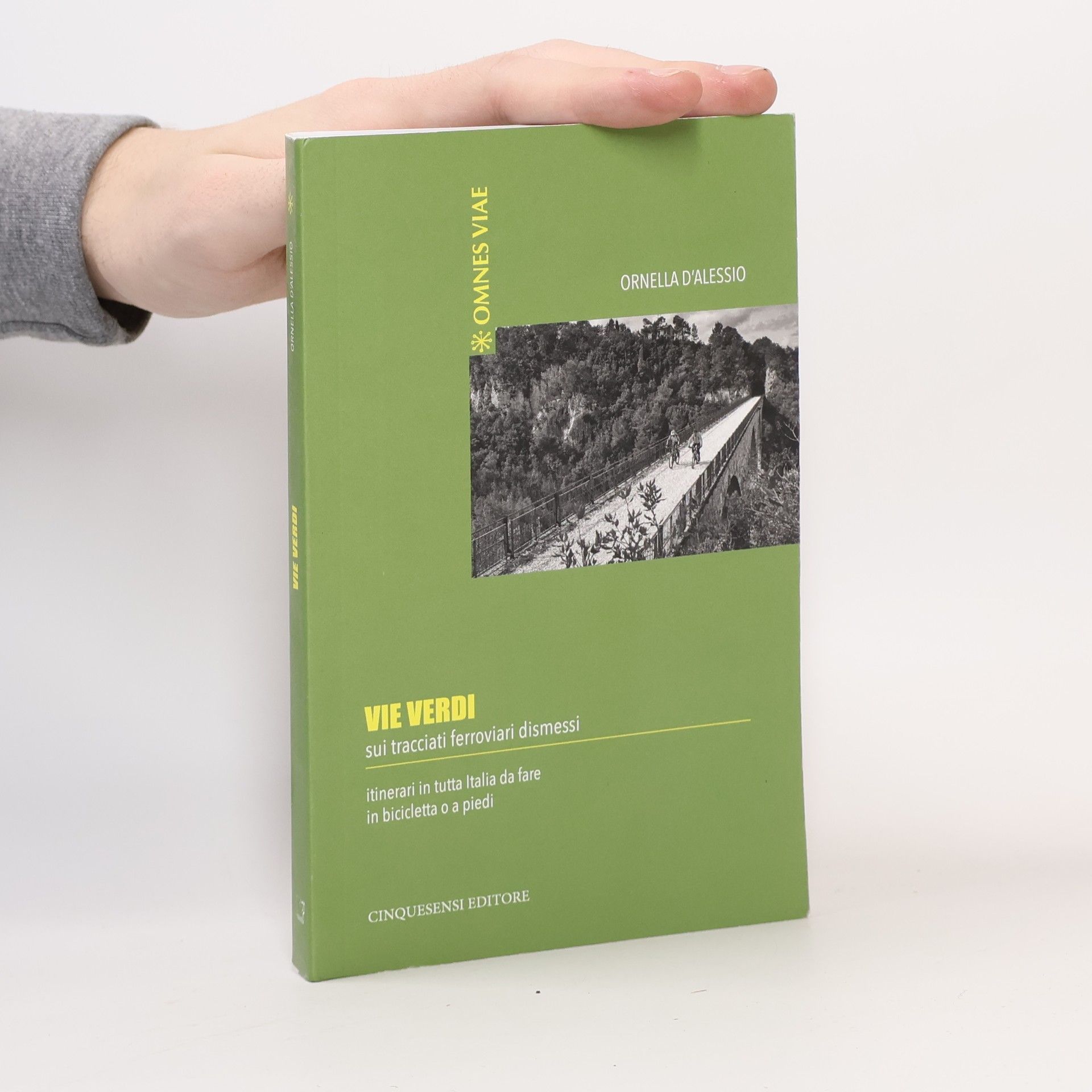 Ornella D'Alessio Omnes Viae: Vie verdi. Sui tracciati ferroviari dismessi. Itinerari in tutta Italia da fare in bicicletta o a piedi. Ediz. illustrata