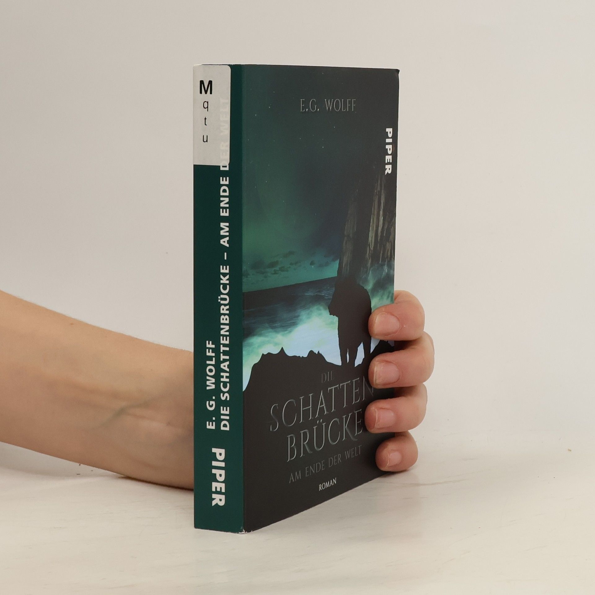 E. G. Wolff Die Schattenbrücke – Am Ende der Welt. High Fantasy-Roman ab 14 | Jugend-Fantasy über Freundschaft und Mut