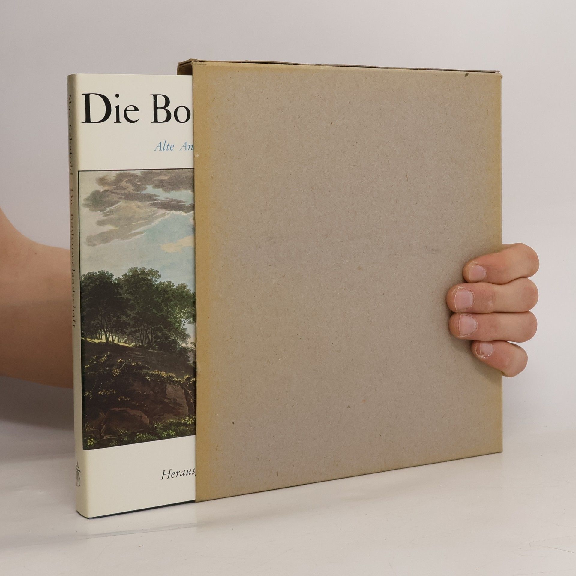 Die Bodenseelandschaft 