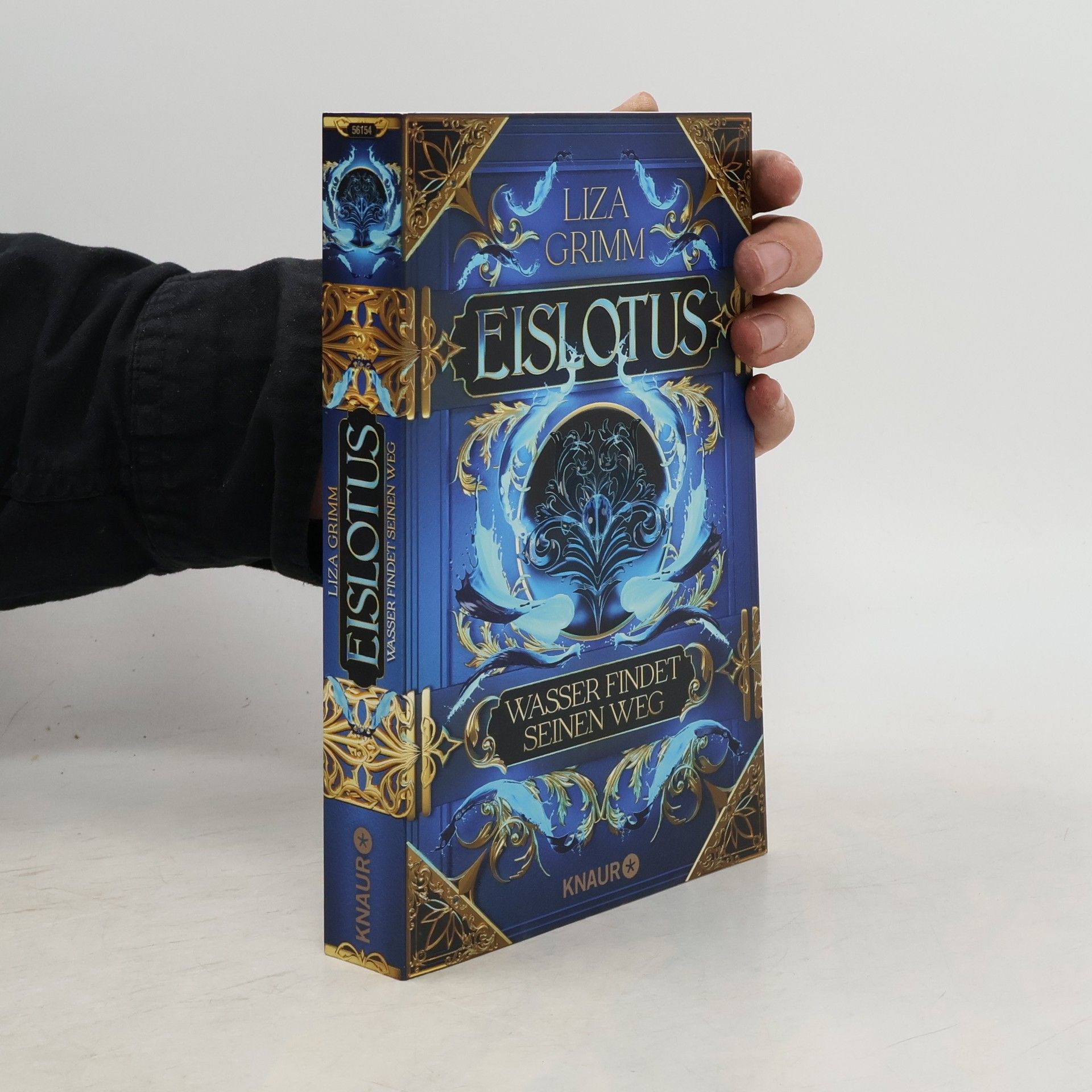 Liza Grimm Eislotus. Wasser findet seinen Weg