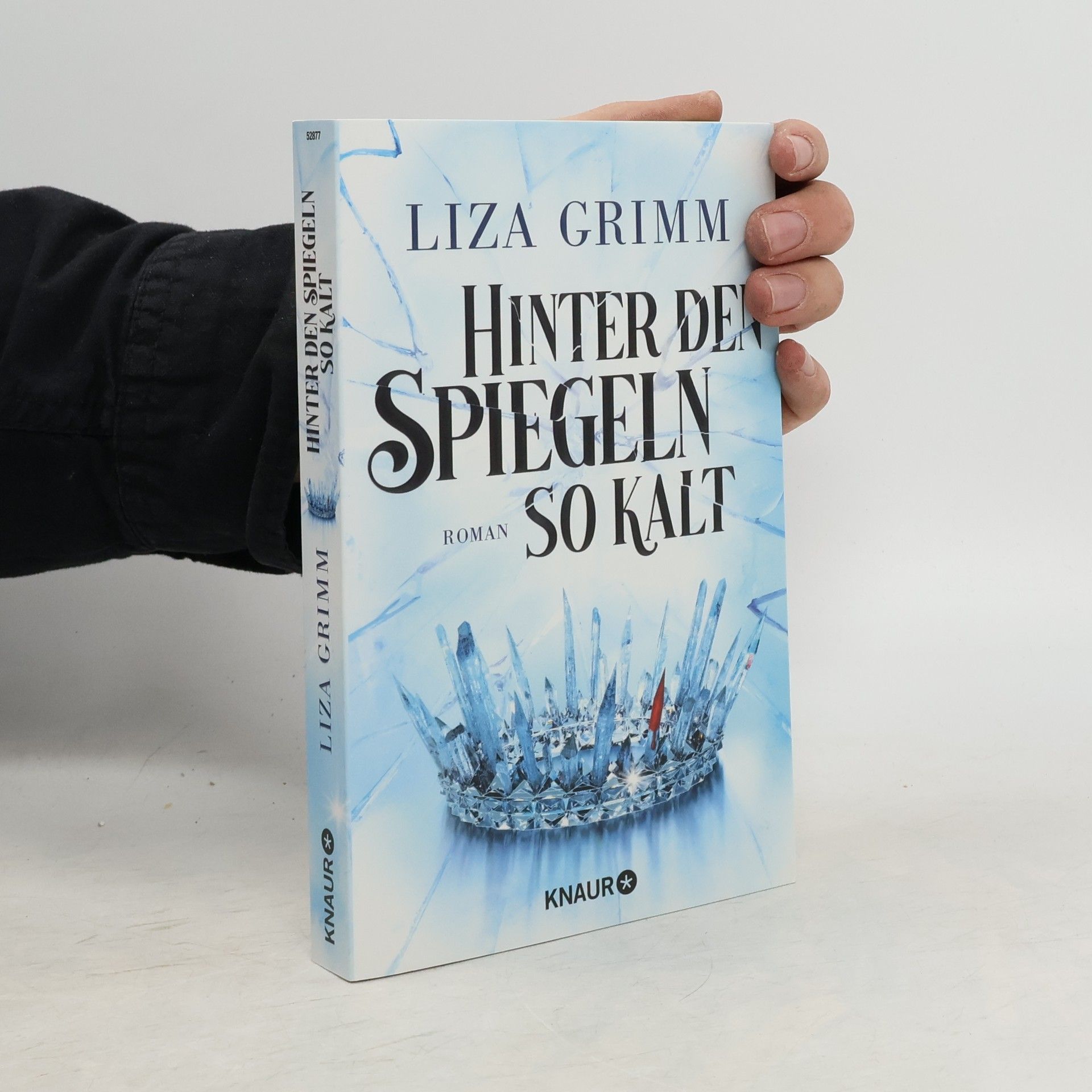 Liza Grimm Hinter den Spiegeln so kalt