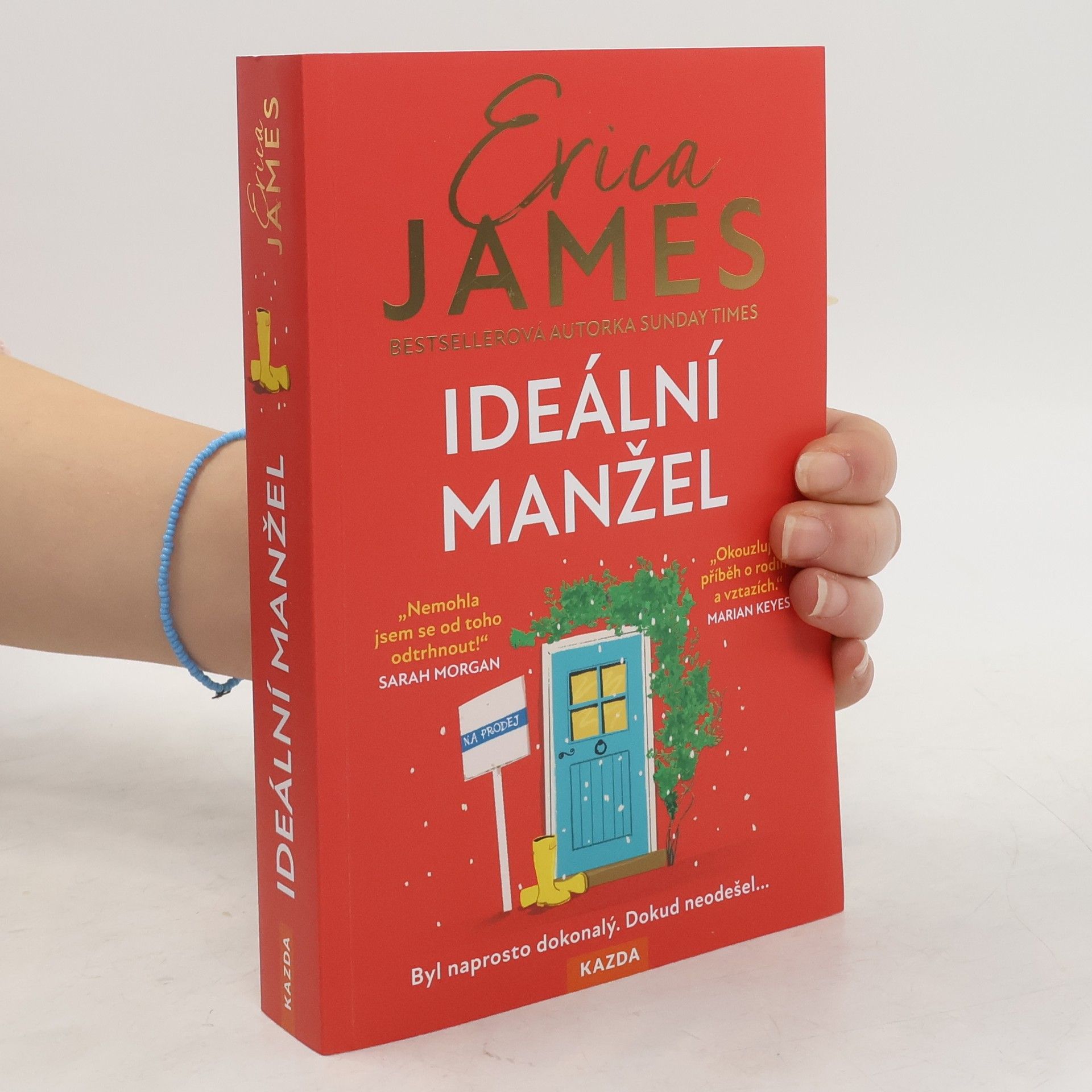 Erica James Ideální manžel