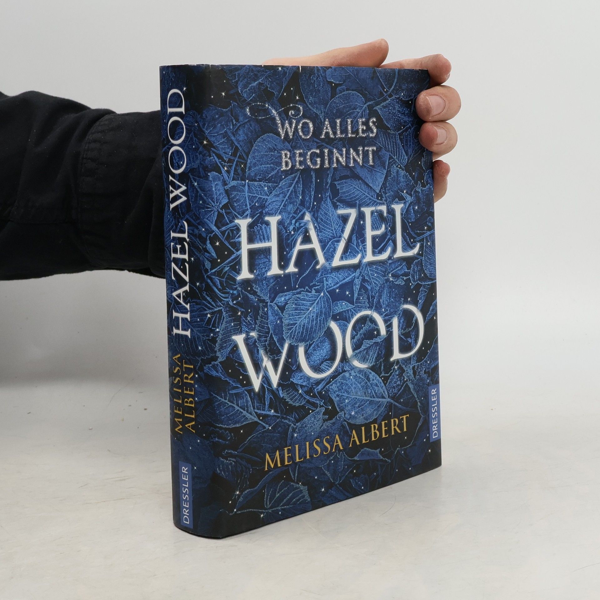 Hazel Wood: Wo alles beginnt