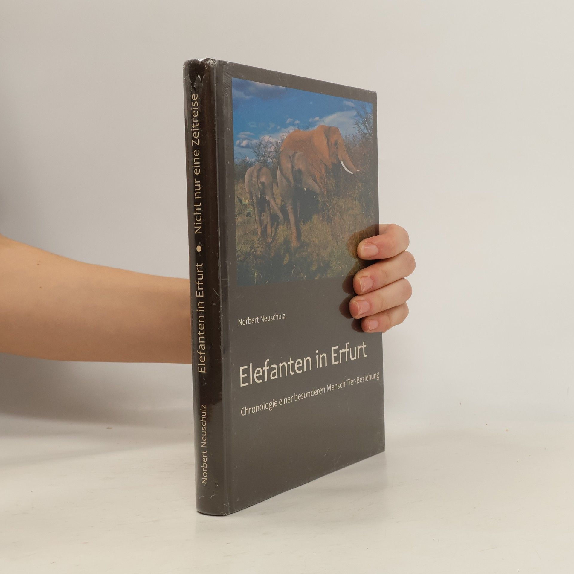 Norbert Neuschulz Elefanten in Erfurt