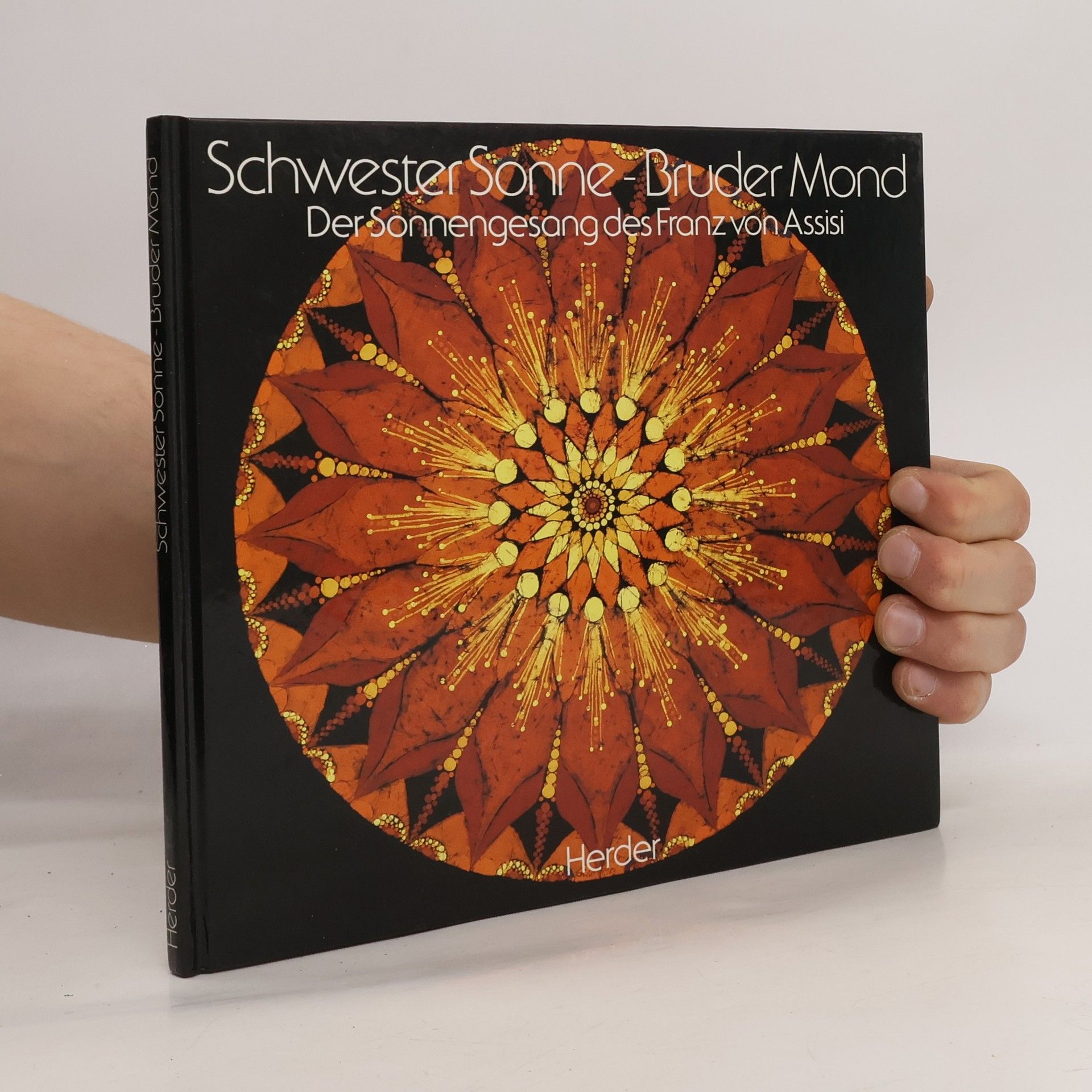 Kolektív autorov Schwester Sonne - Bruder Mond