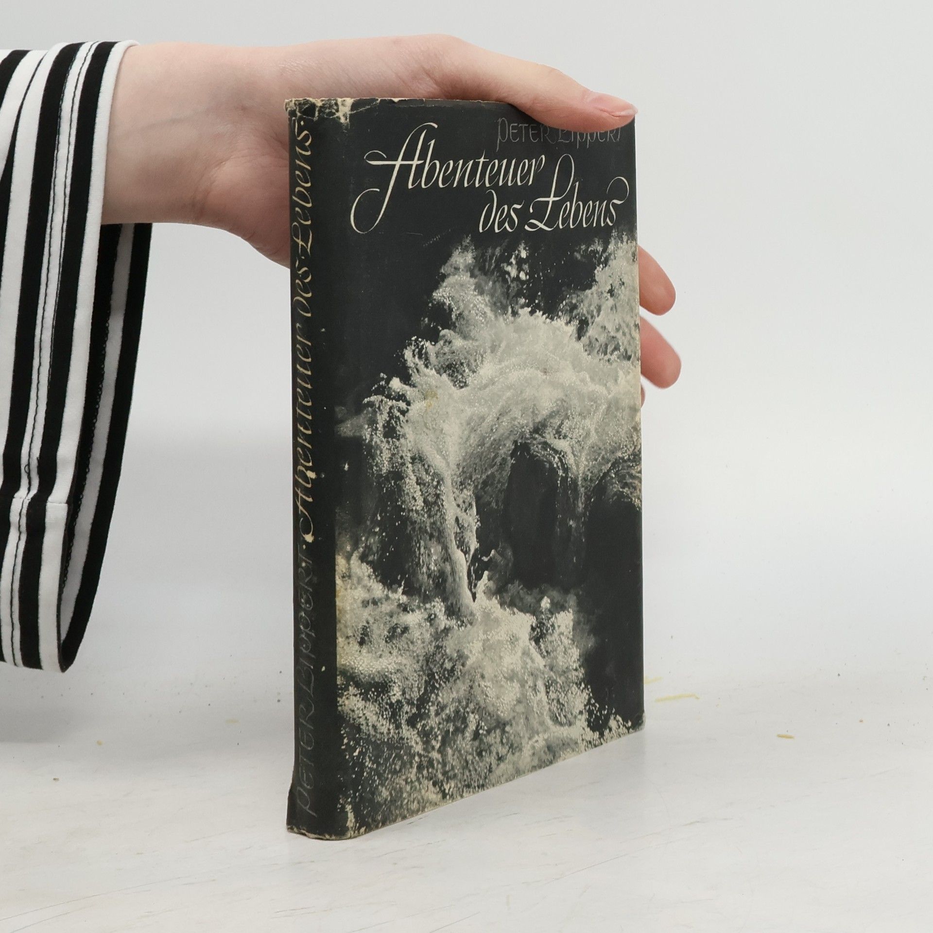 Peter Lippert Abenteuer des Lebens