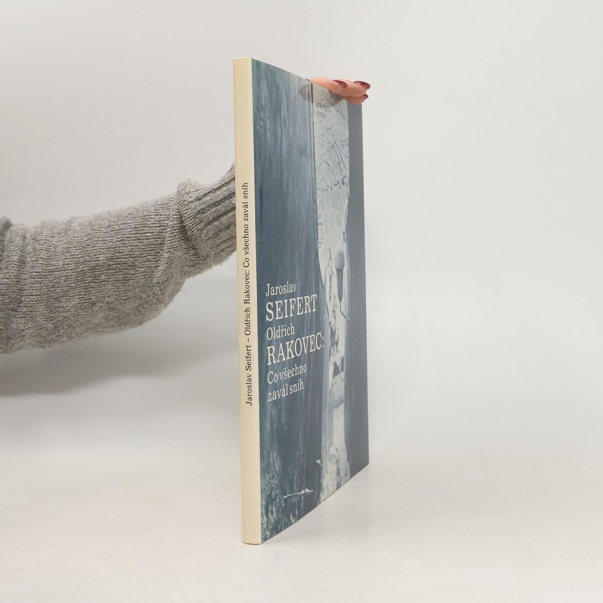 Jaroslav Seifert Co všechno zavál sníh